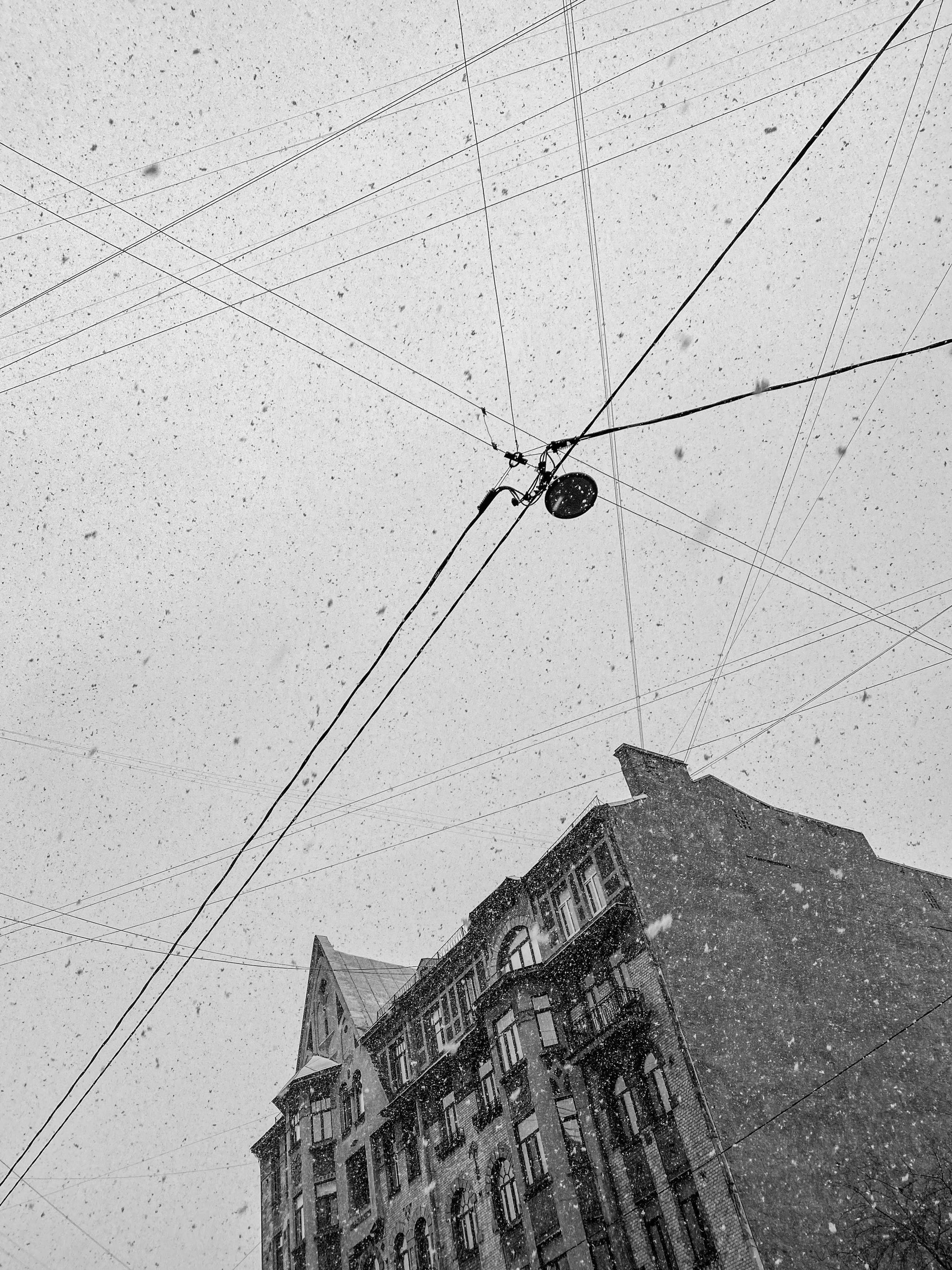 Фотограф Семён Родов