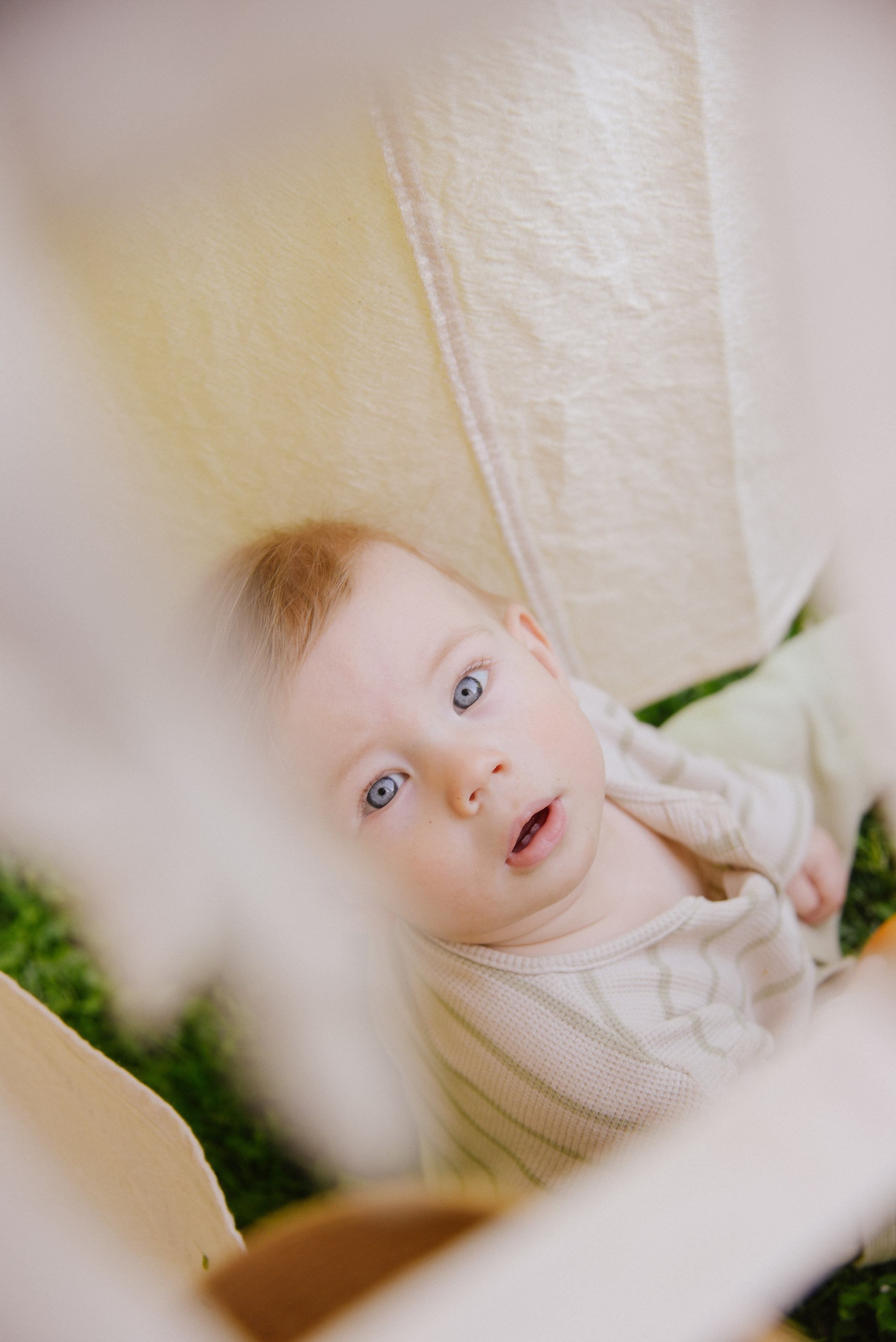 Мамский пикник. Фотограф Лола Волна, город Москва