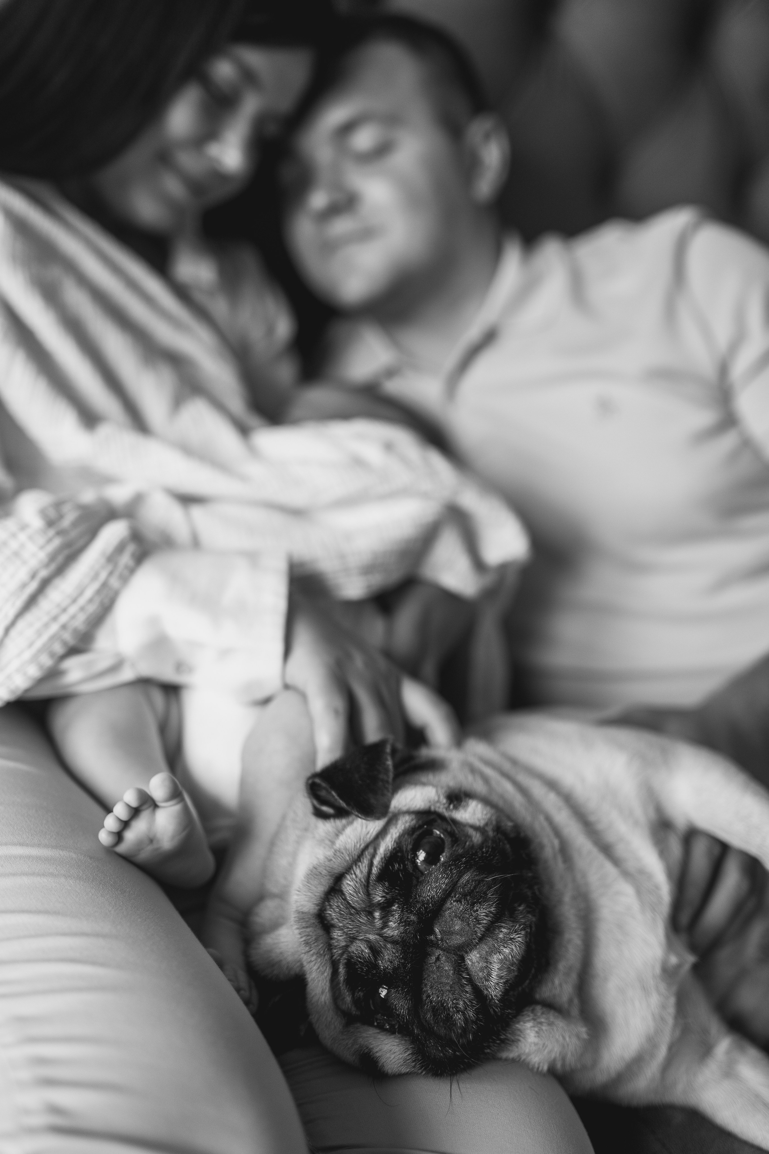 Малыш Федор. Фотограф новорожденных малышей Одинцово/Москва Юлия Скок