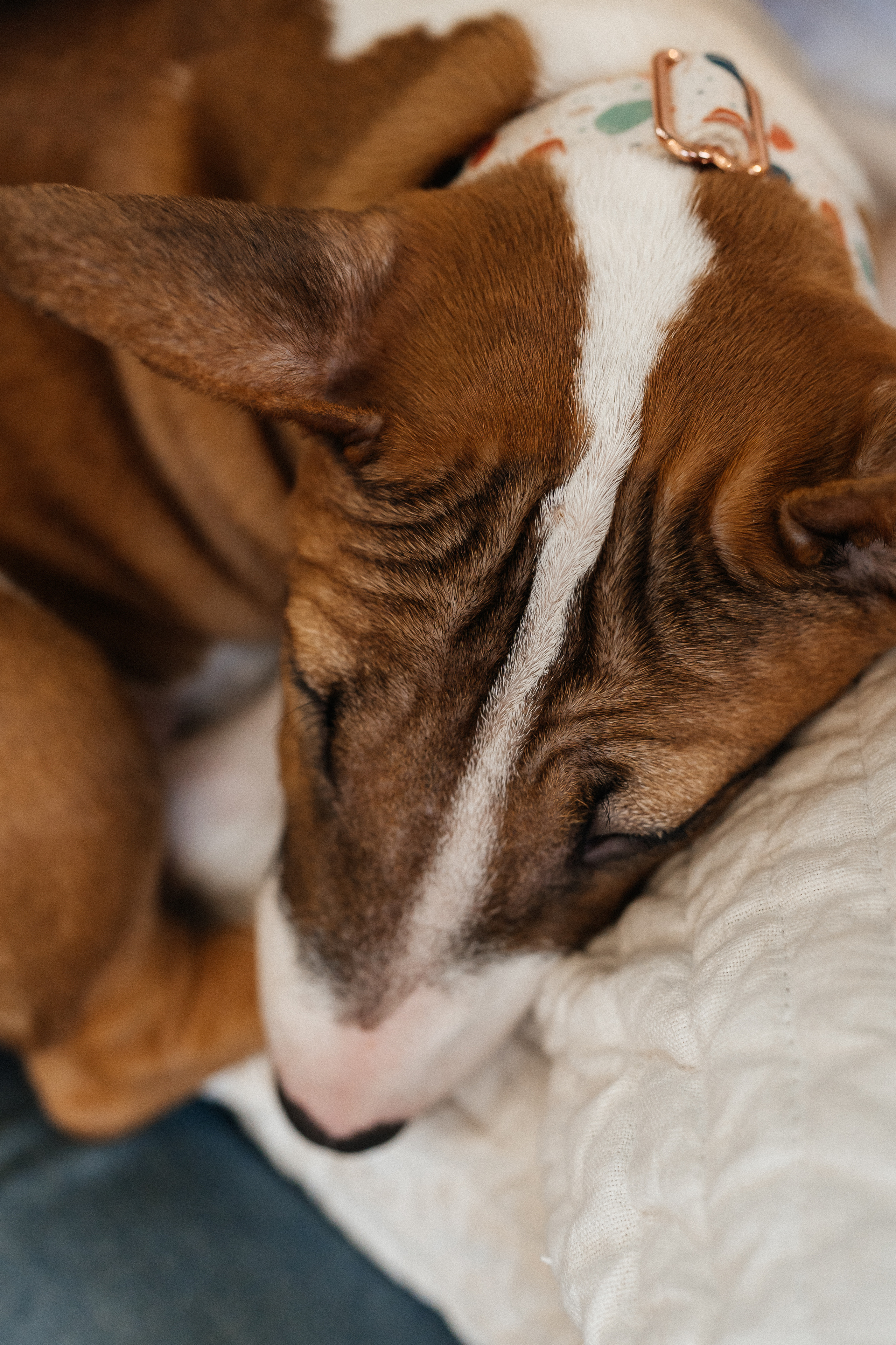 Трое в тропиках. Семейный фотограф в Санкт-Петербурге Виталия Белова