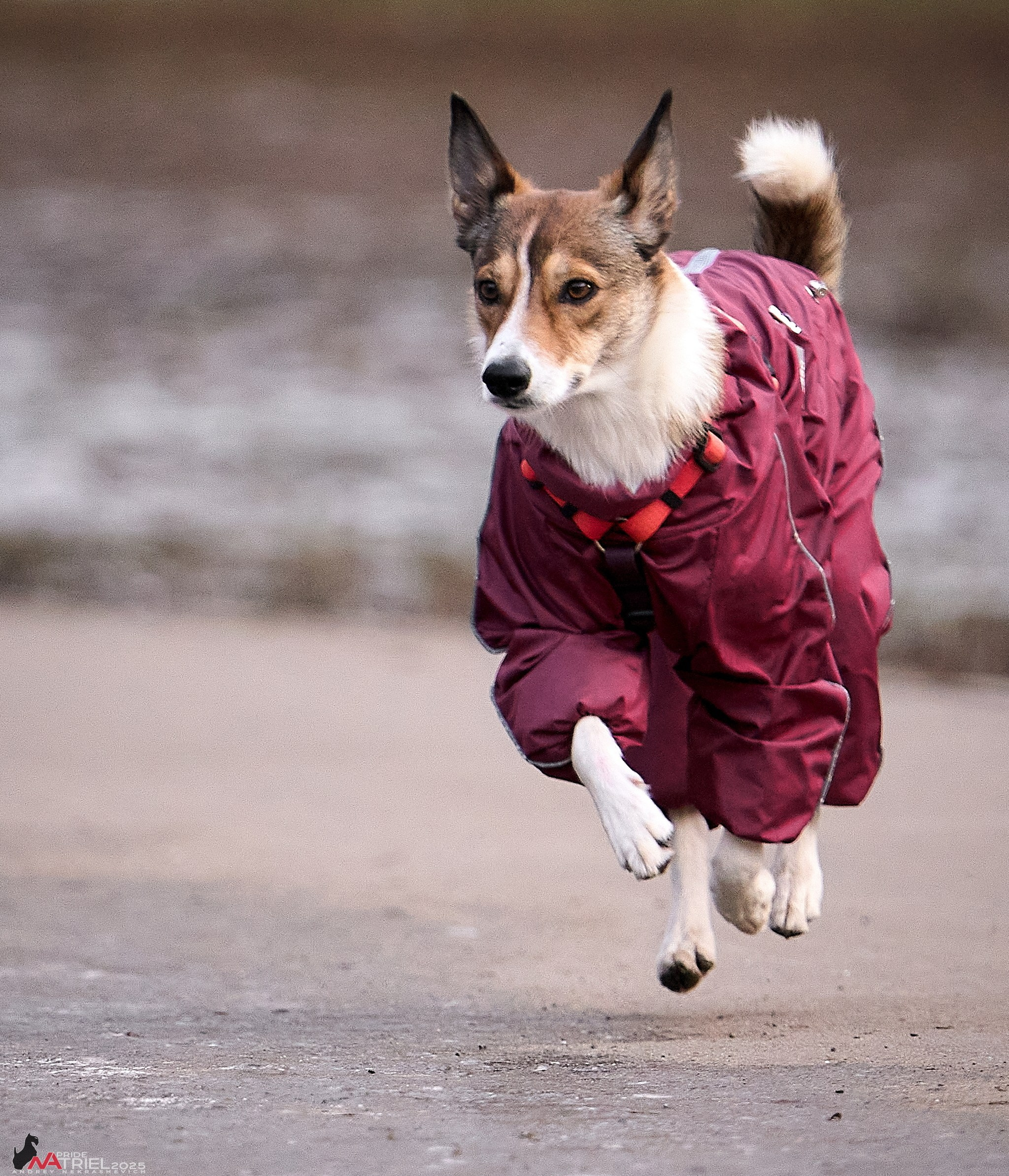 Фотопрогулка "вокруг дома"