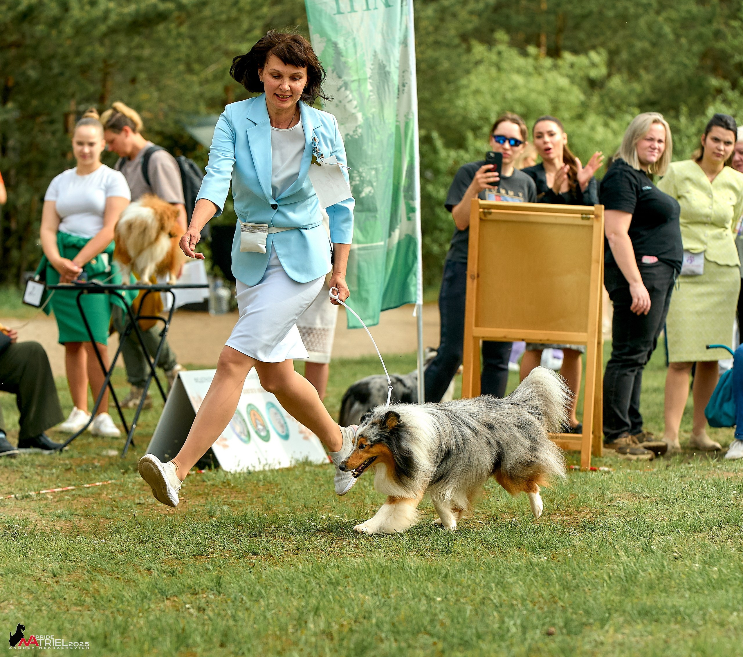 Выставка собак Суздаль-Владимир