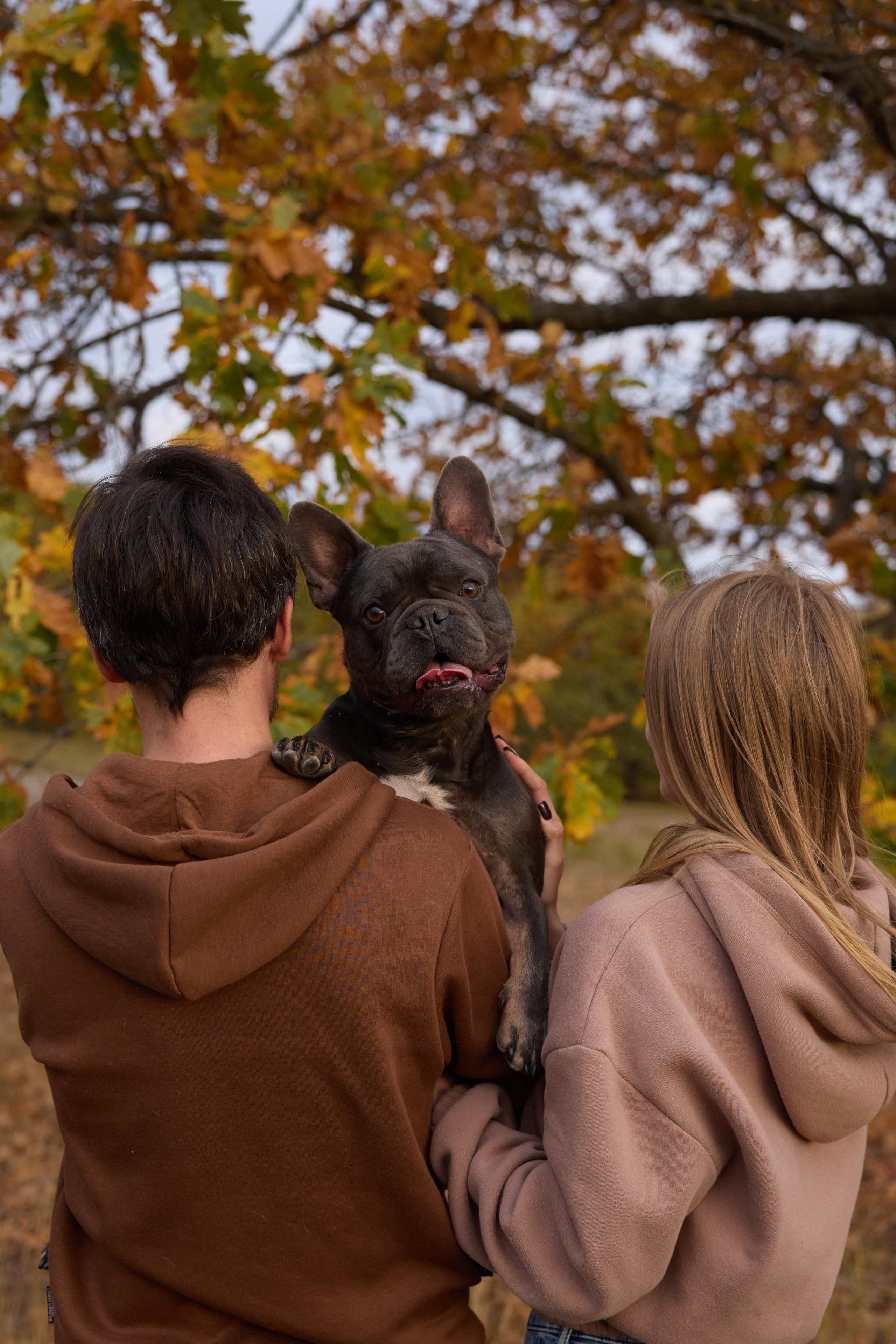 Семейная история. Фотограф анималист в Казани Алина Сулейманова. Фотограф животных