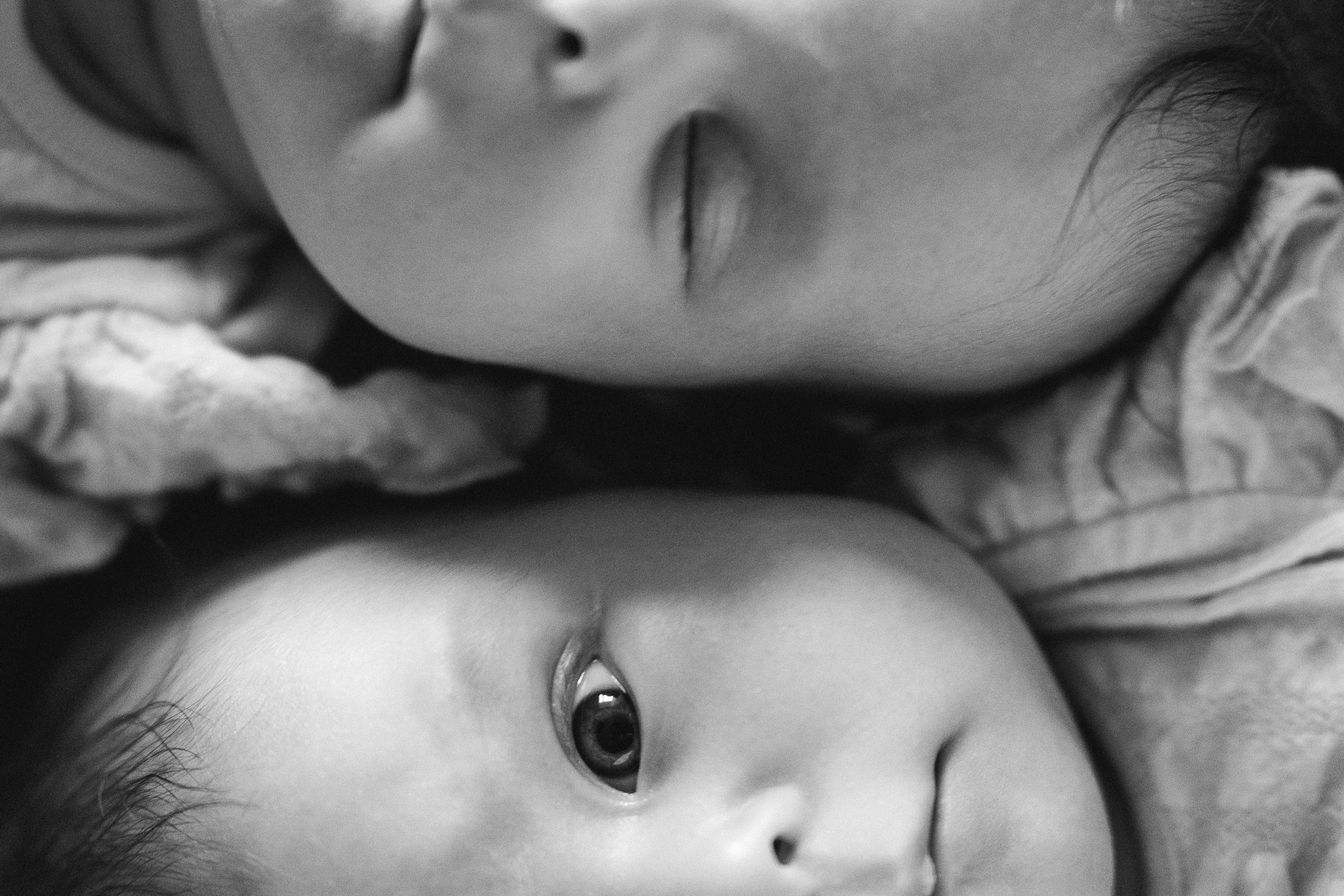 Там где кошки поют…. Свадебный и семейный фотограф в Абакане Василевский Алексей