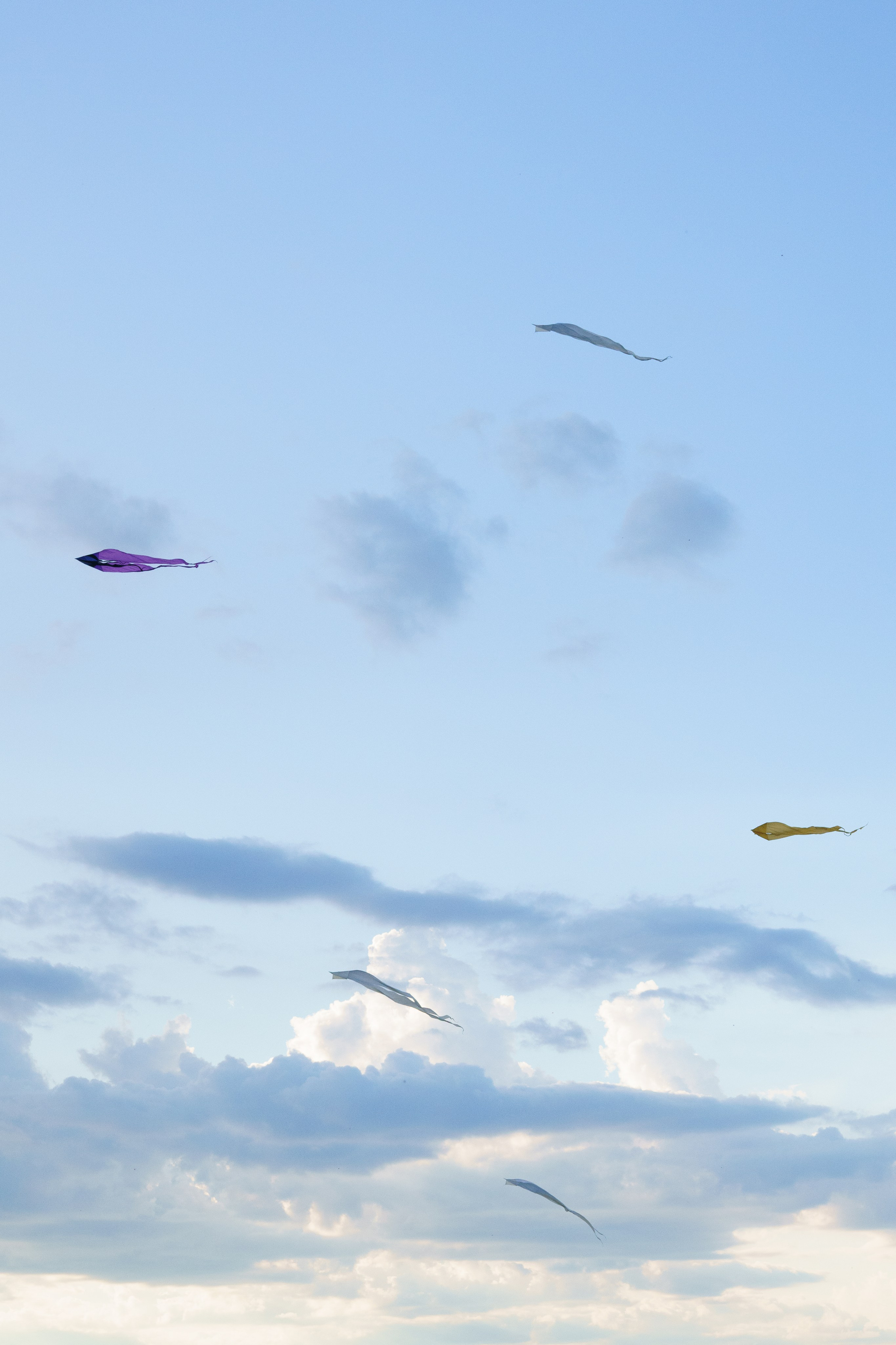 ArchstoyanieKids. Твой фотограф в Москве и Московской области Романцова Ирина