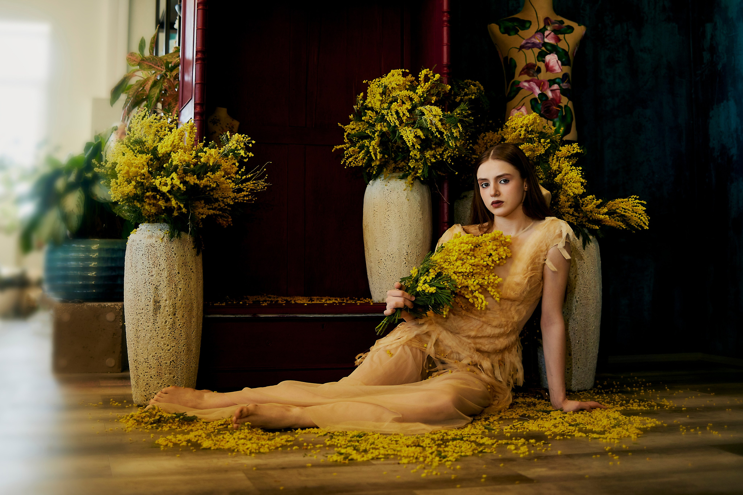 Мимоза. Сергей Ирклиенко