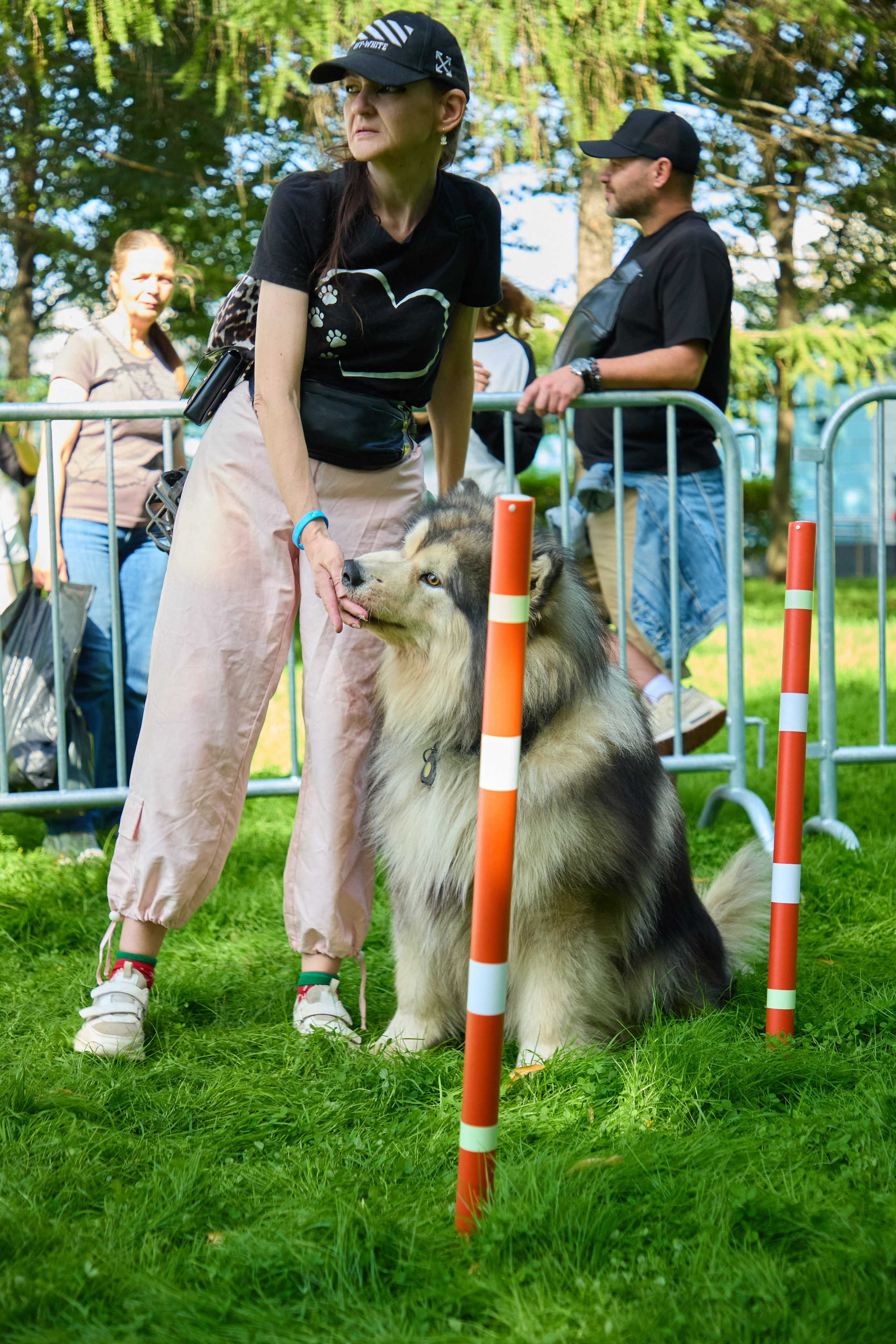 День защиты Питомцев х ТАСС х Союз ветеринаров. Святослав Лебедев | Рекламный фотограф — Коммерческая съемка, Арт-дирекшн, AI-интеграция