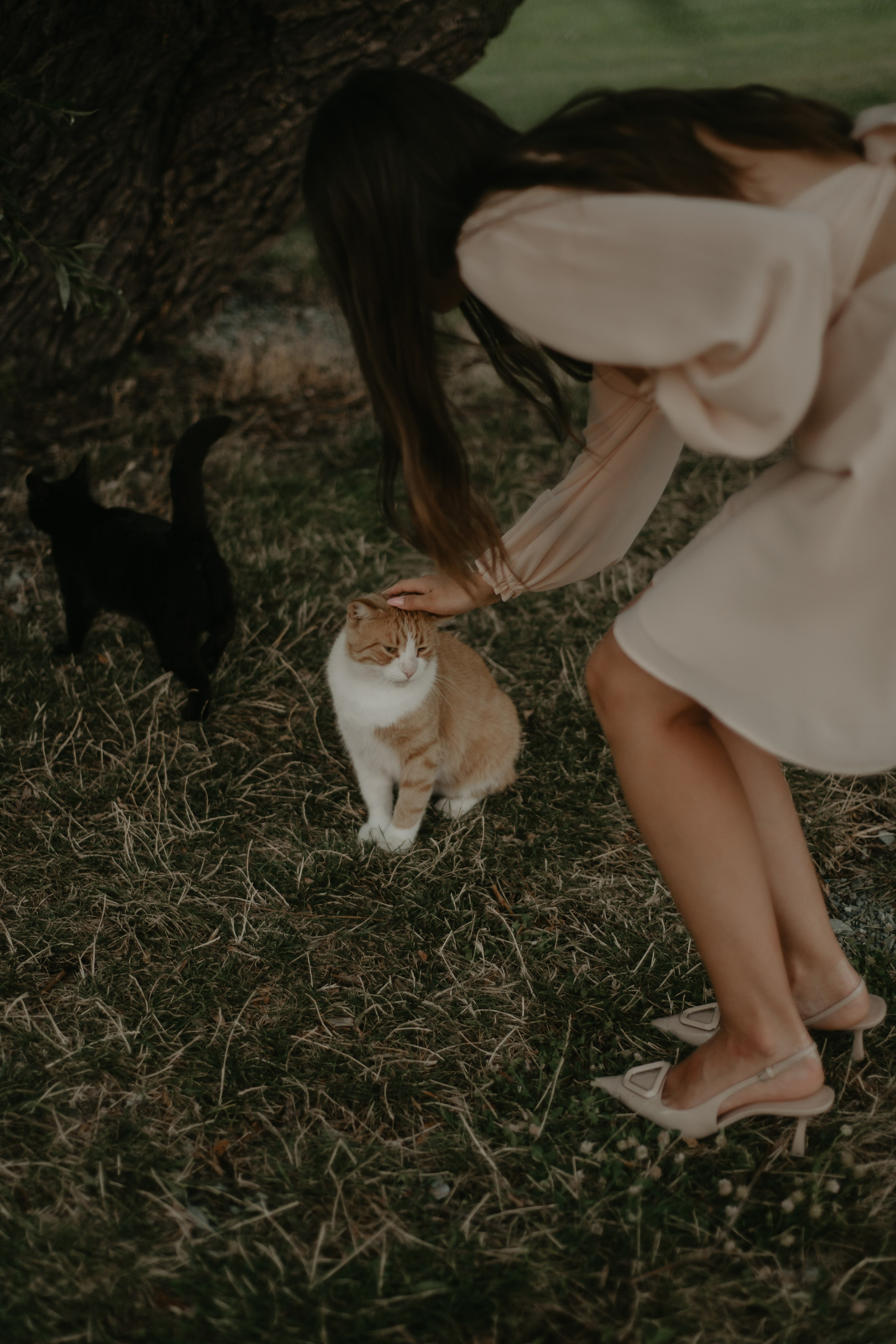 Моменты с тобой. Фотограф и Видеограф Анапа, Новороссийск, Краснодар. Алина и Женя