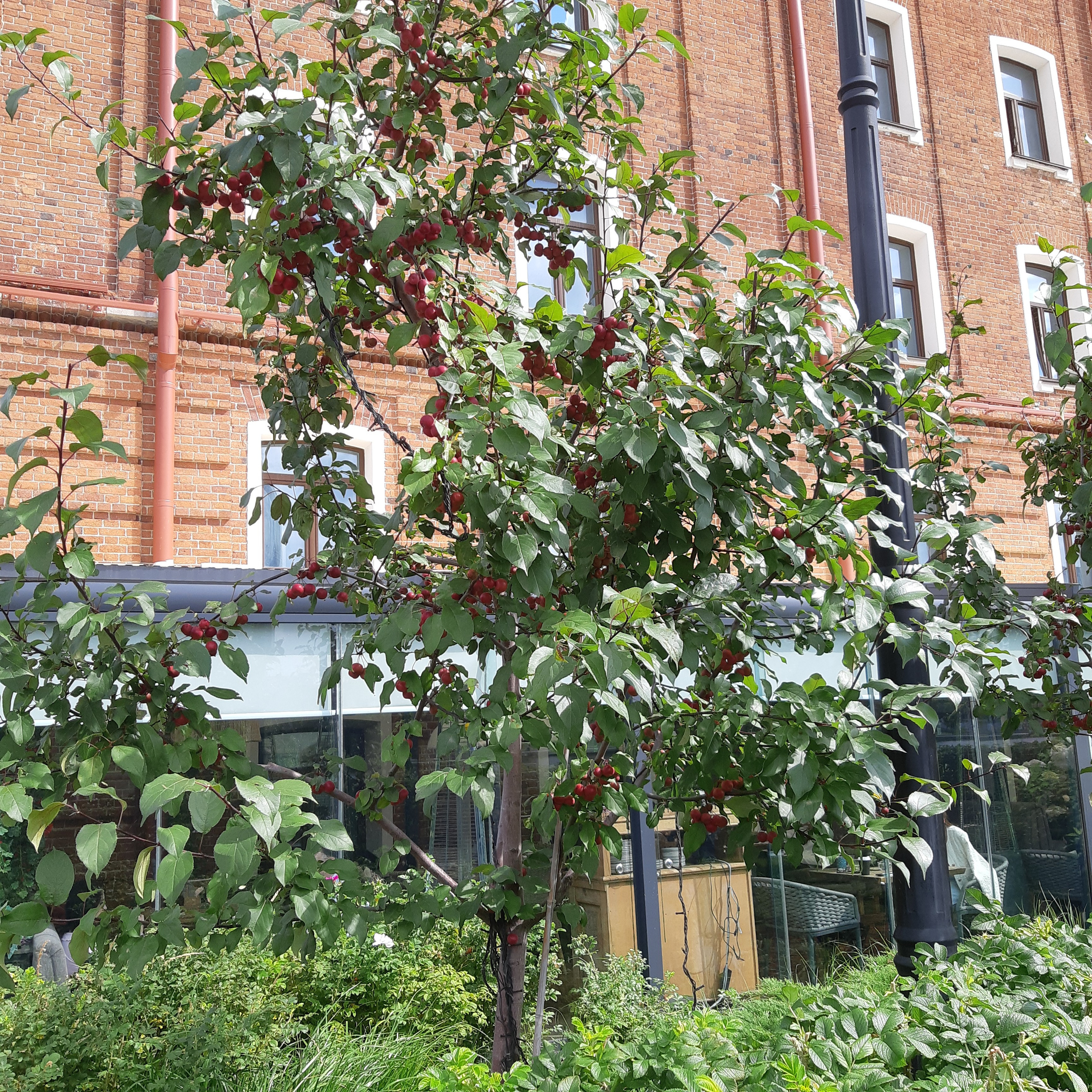 ВОЛШЕБНЫЙ АТМОФЕСТ 2025. Ландшафт Сметчик Генплан Ландшафтный дизайнер новости Екатеринбург Пермь