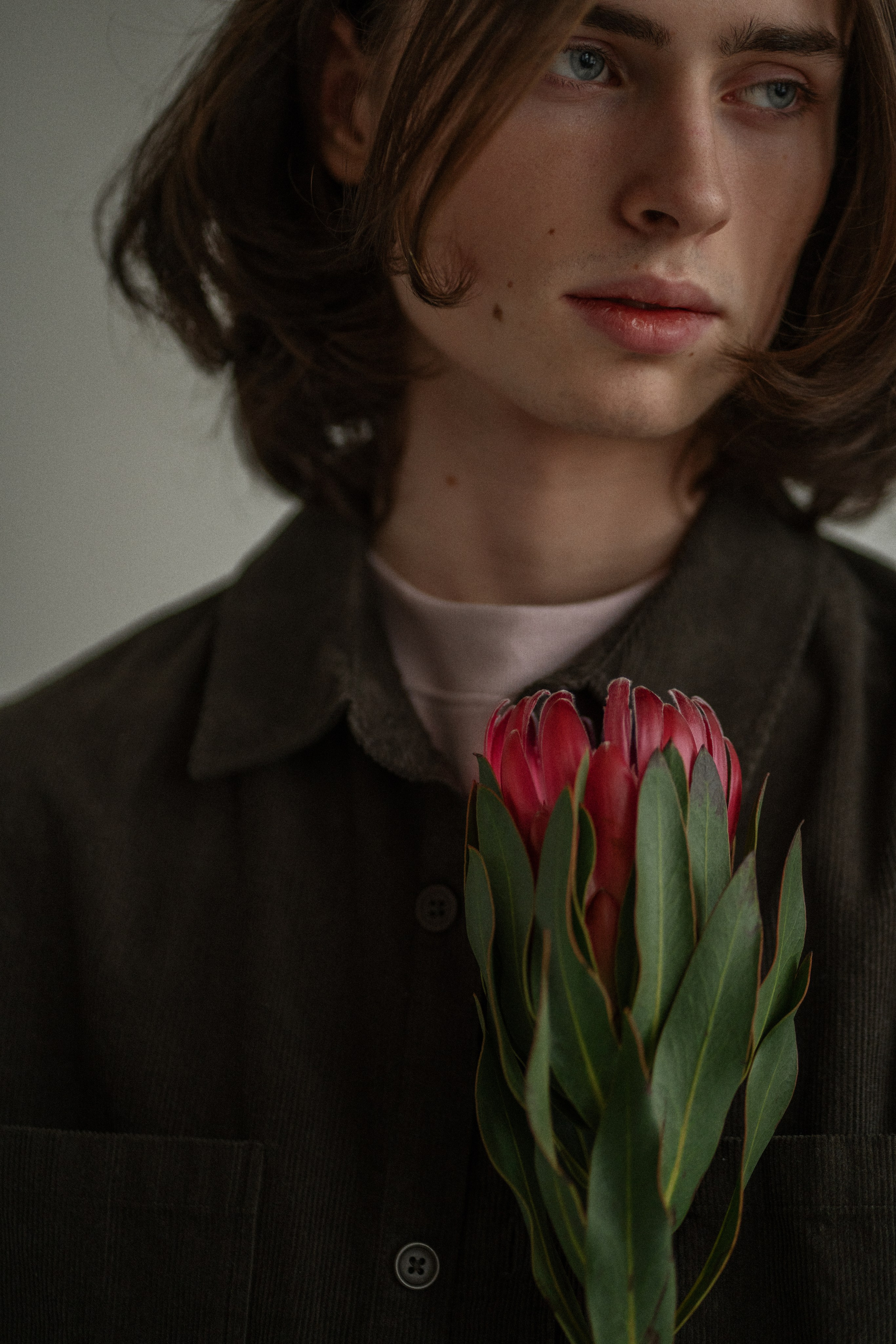 Зелёный мир. сеть цветочных салонов. Фотограф Анастасия Дёмина