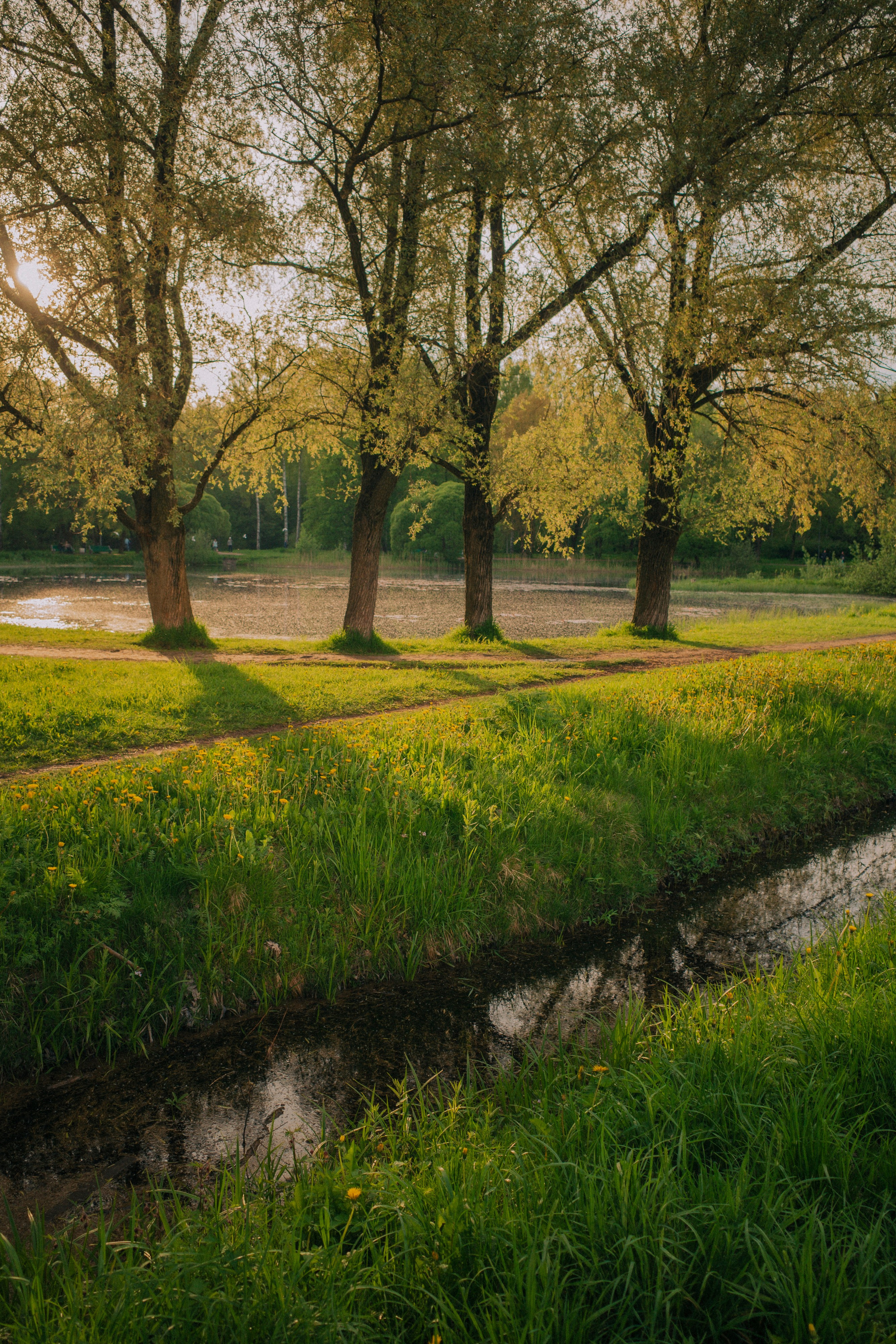STREET. Портретный и репортажный фотограф в Санкт-Петербурге Максим Пашков