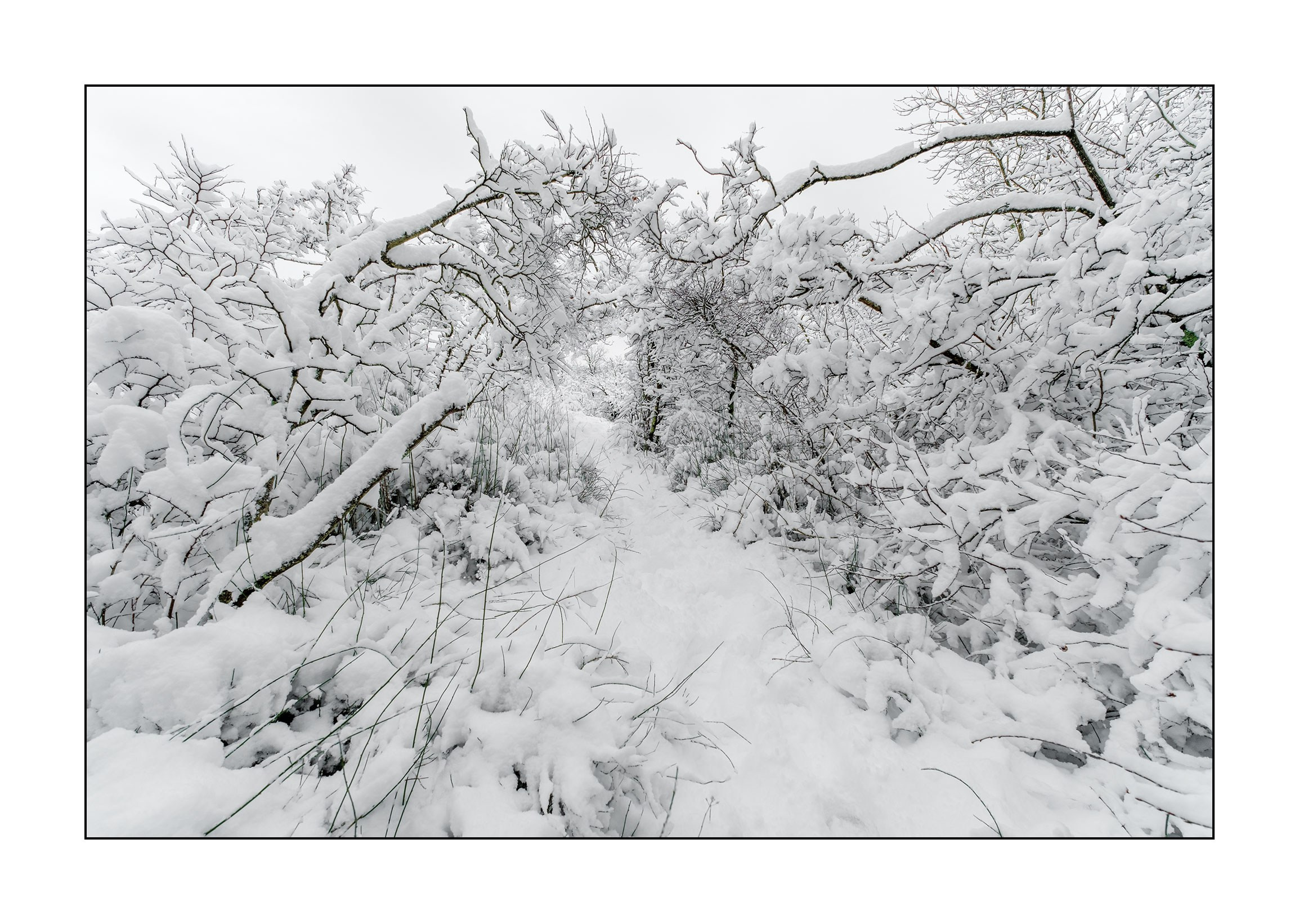 фотограф Геленджик