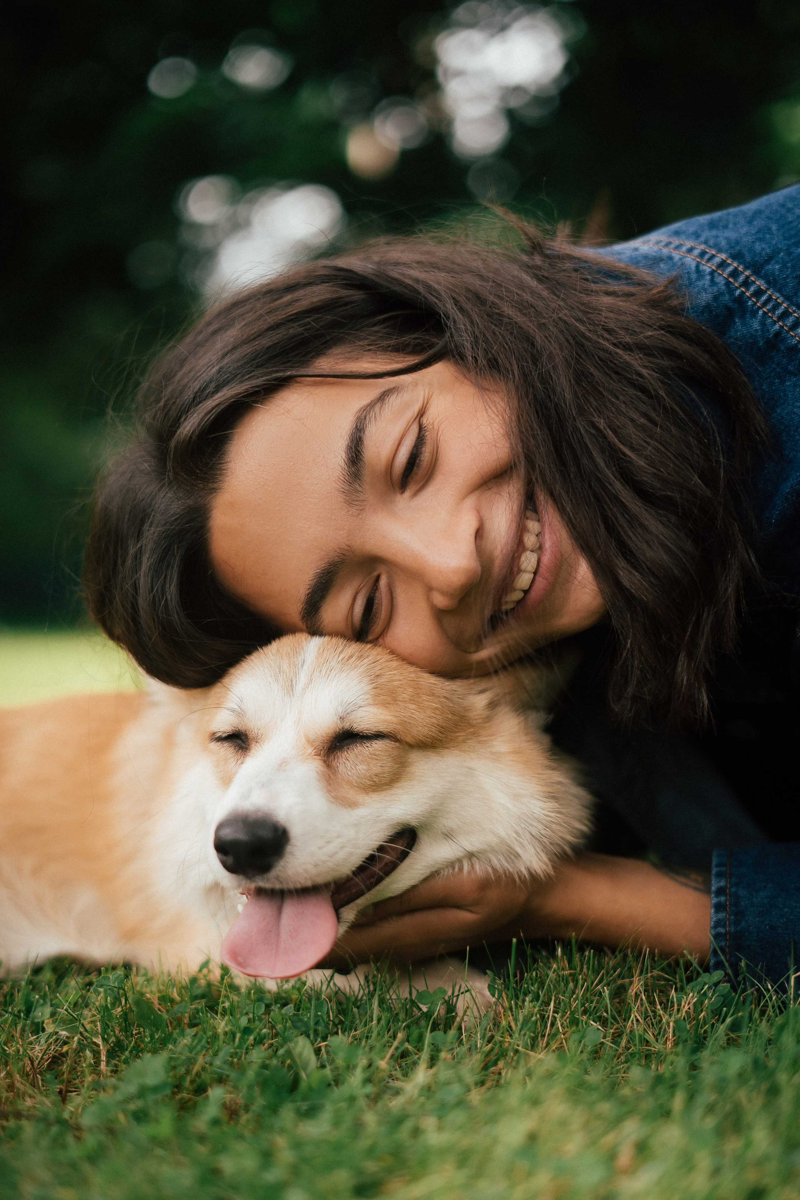 Фотосессия с собакой сахалин. Фотограф сахалин