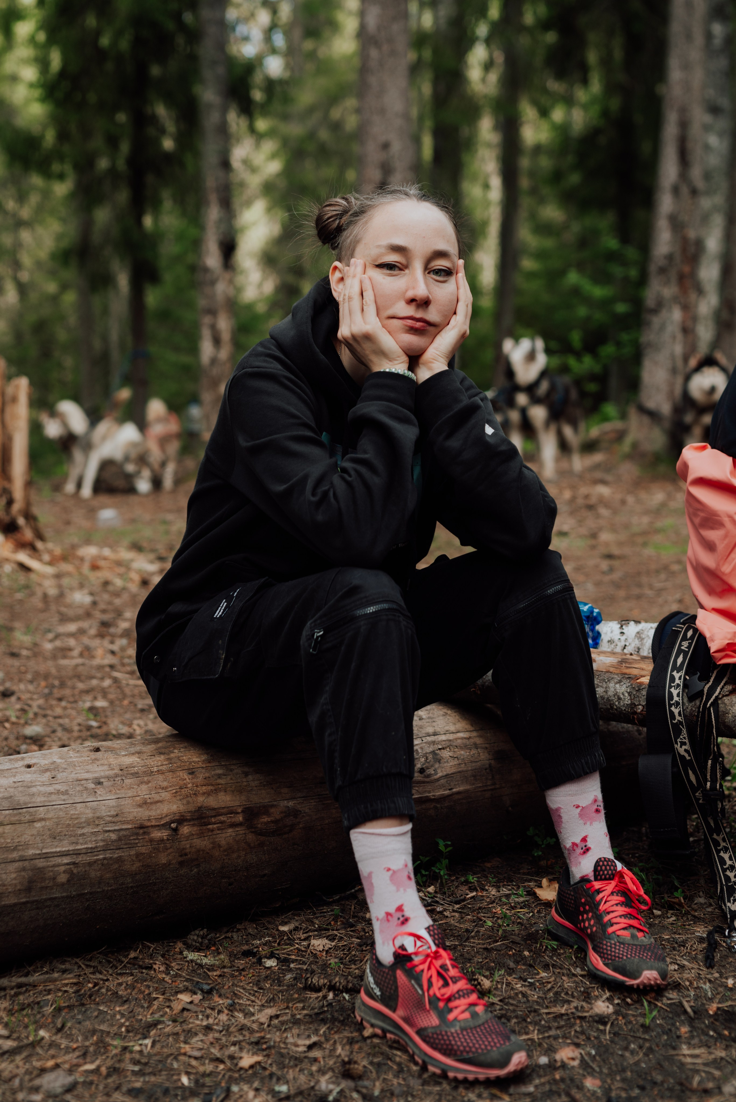 Догтрекинг. Фотограф в Санкт-Петербурге и Ленинградской области