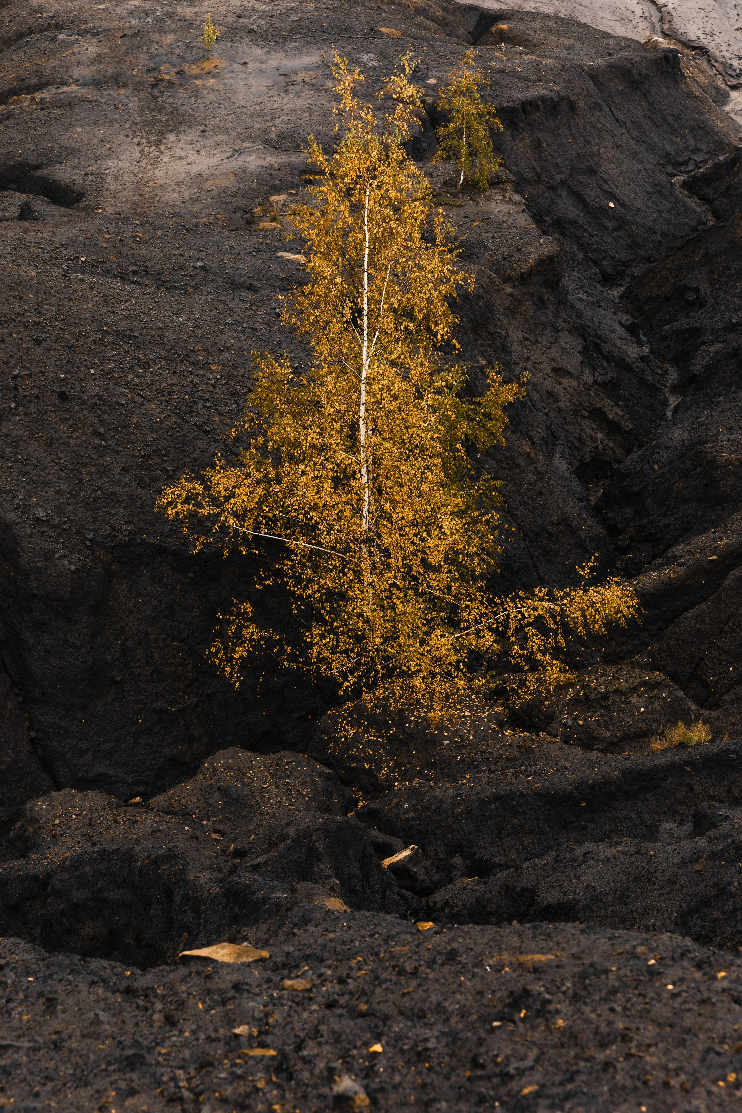 Кондуки. Октябрь 2023. Фотографии