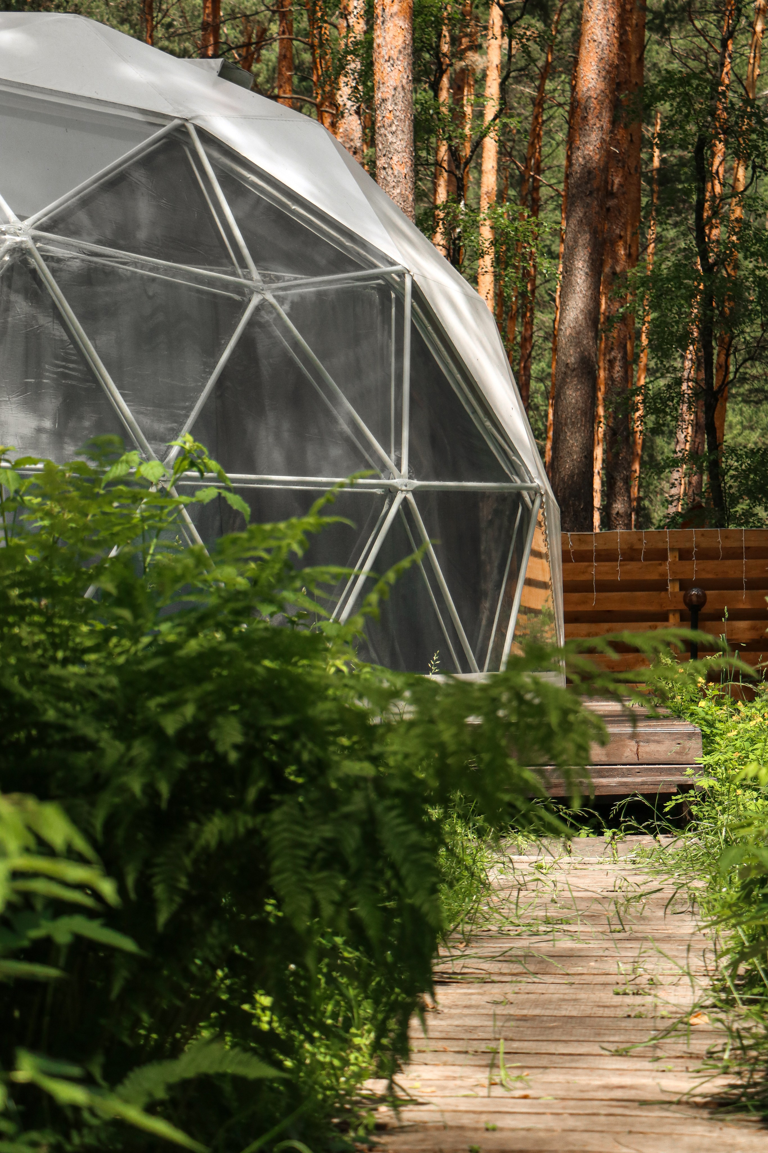 «Royal Forest» купольная база, респ. Алтай. Контент фотограф Дмитрий Борисов