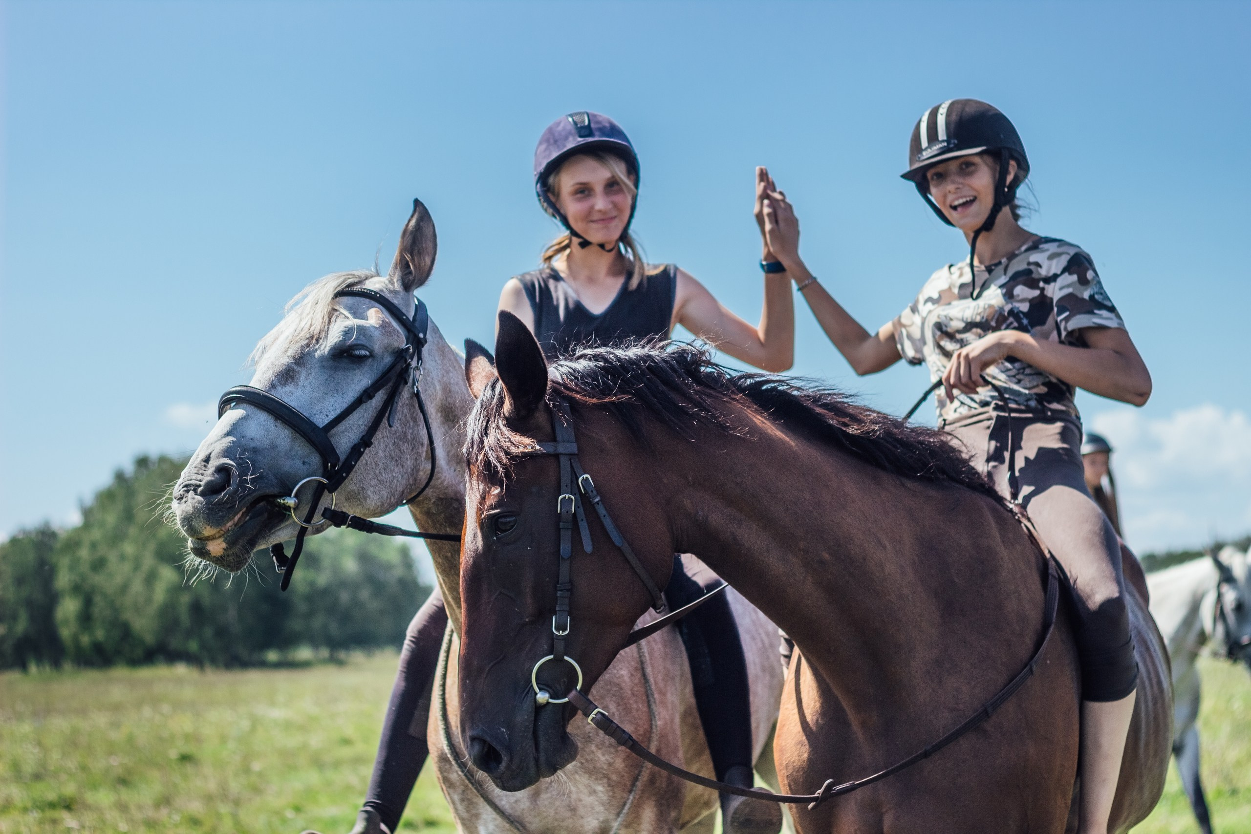 Для конников. Главная