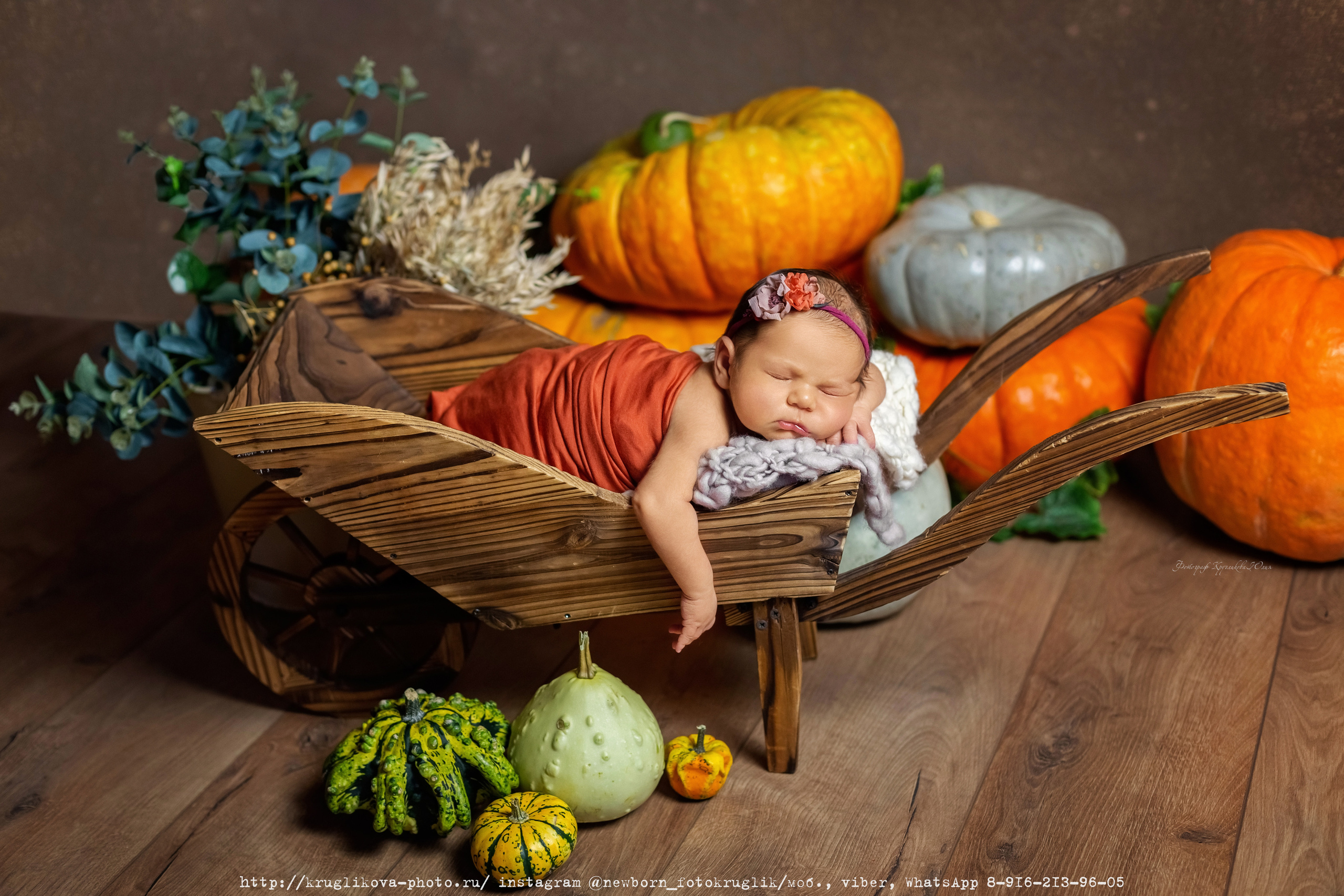 Новорожденные (до 1 месяца). Фотограф новорожденных и детский в Сергиевом Посаде Кругликова Юлия