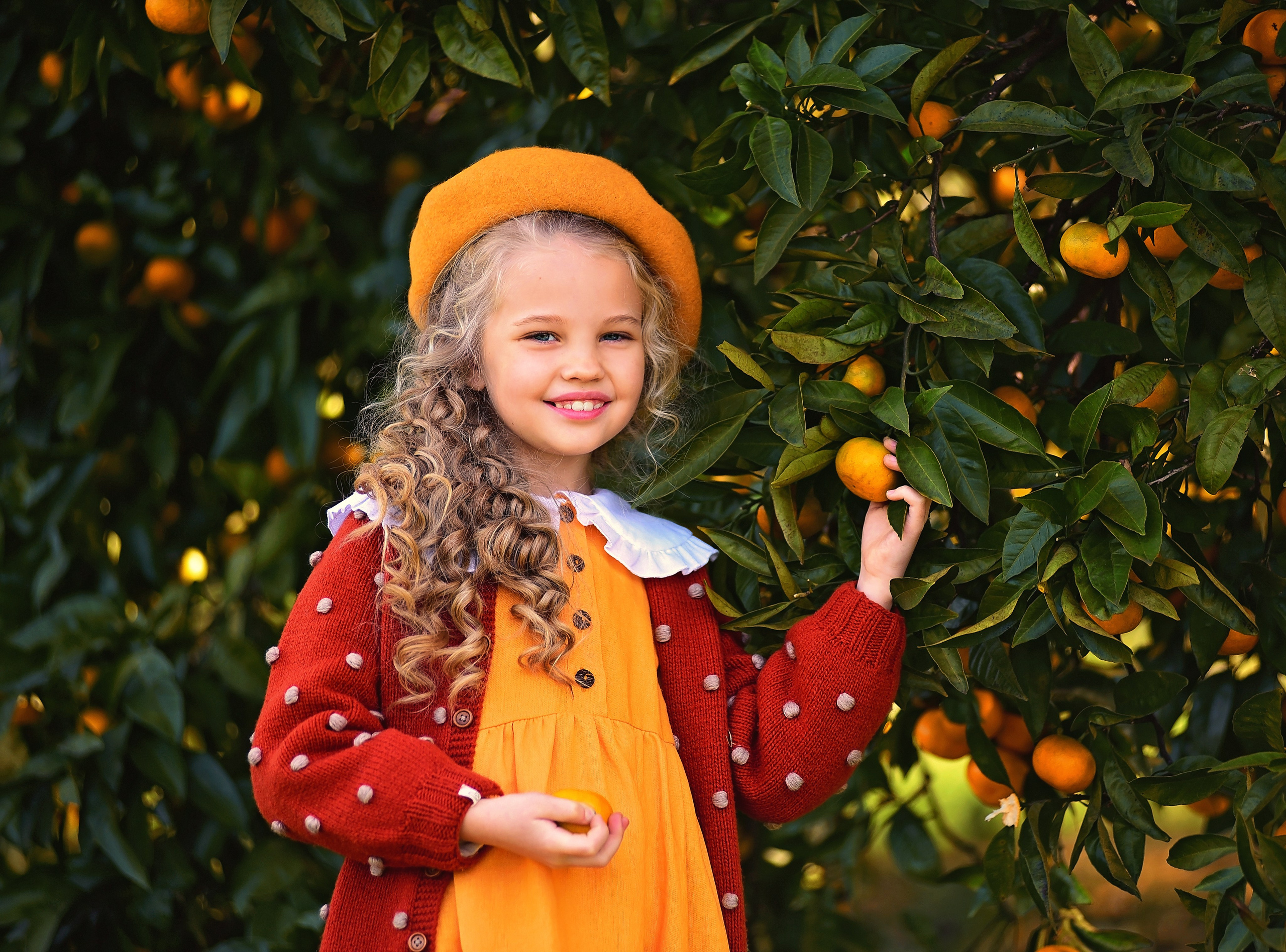 Мандарины. Главная