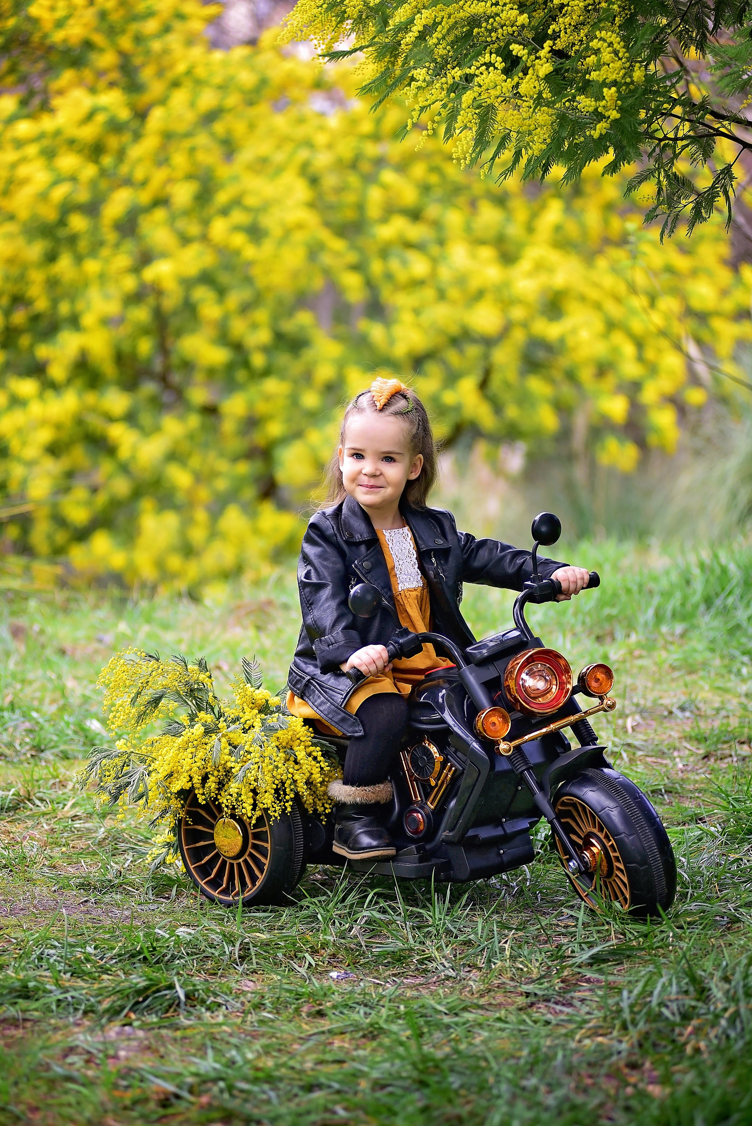 Мимоза. Главная