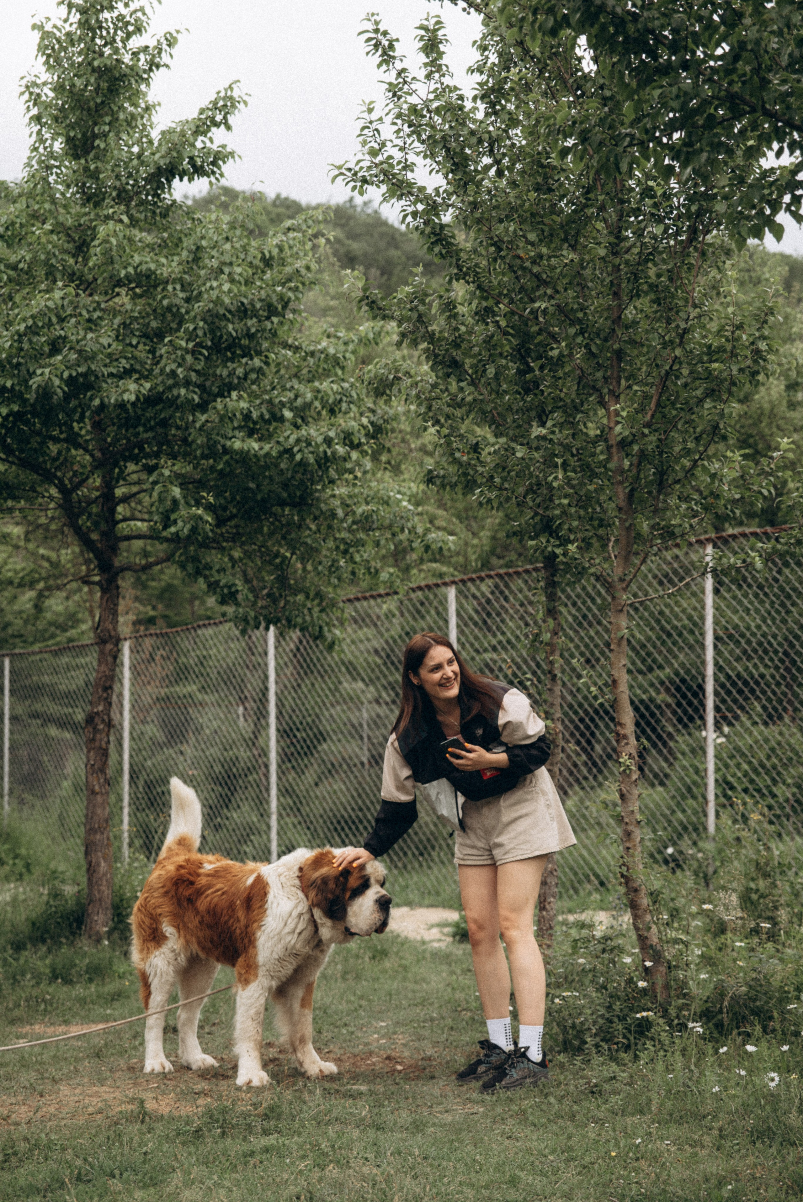Медвежий приют, Мамкода, Грузия 🇬🇪 «Honey Trip». Anita_photo