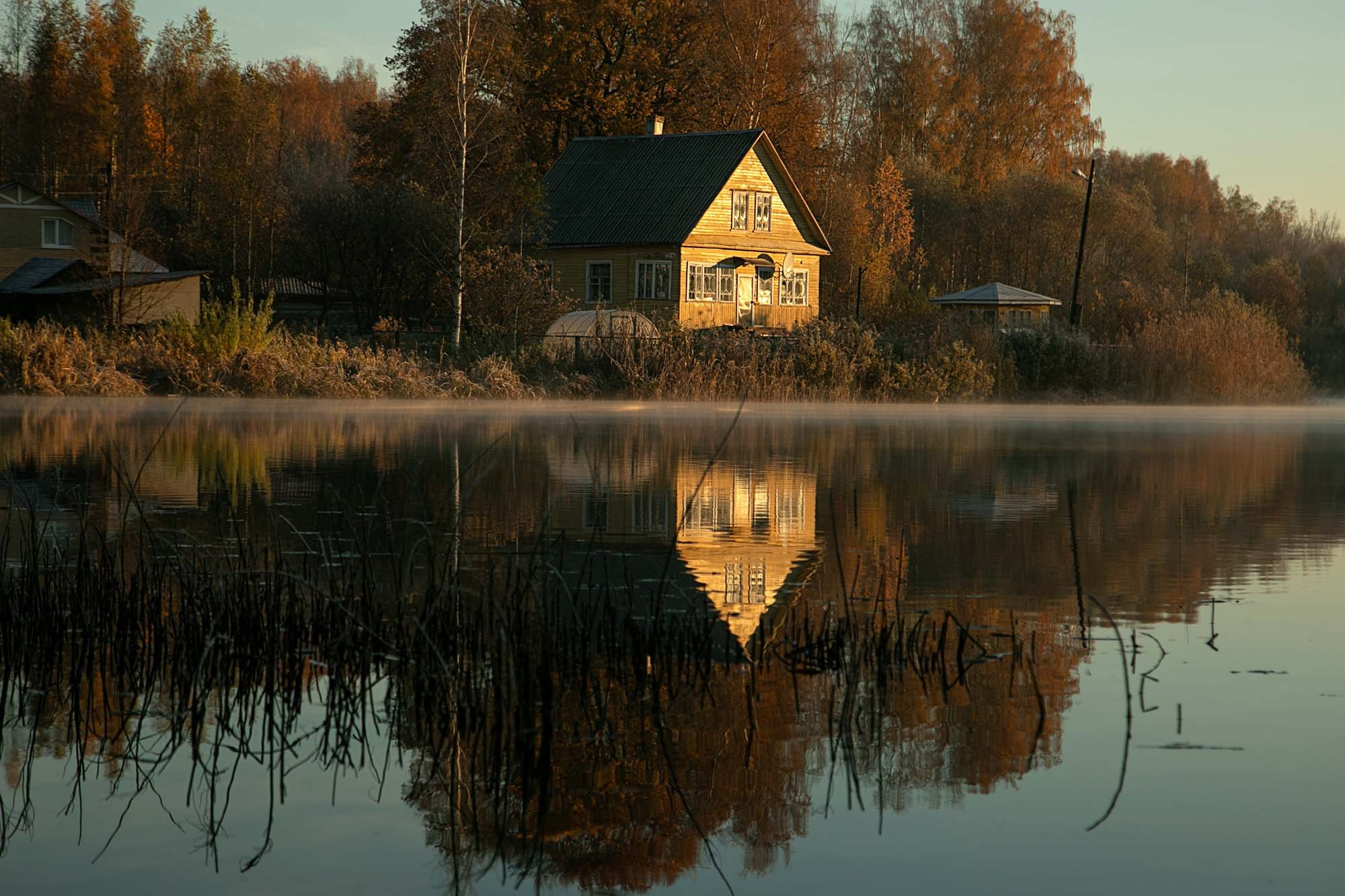 Семейный и детский фотограф в Санкт-Петербург. Natalia Fadel