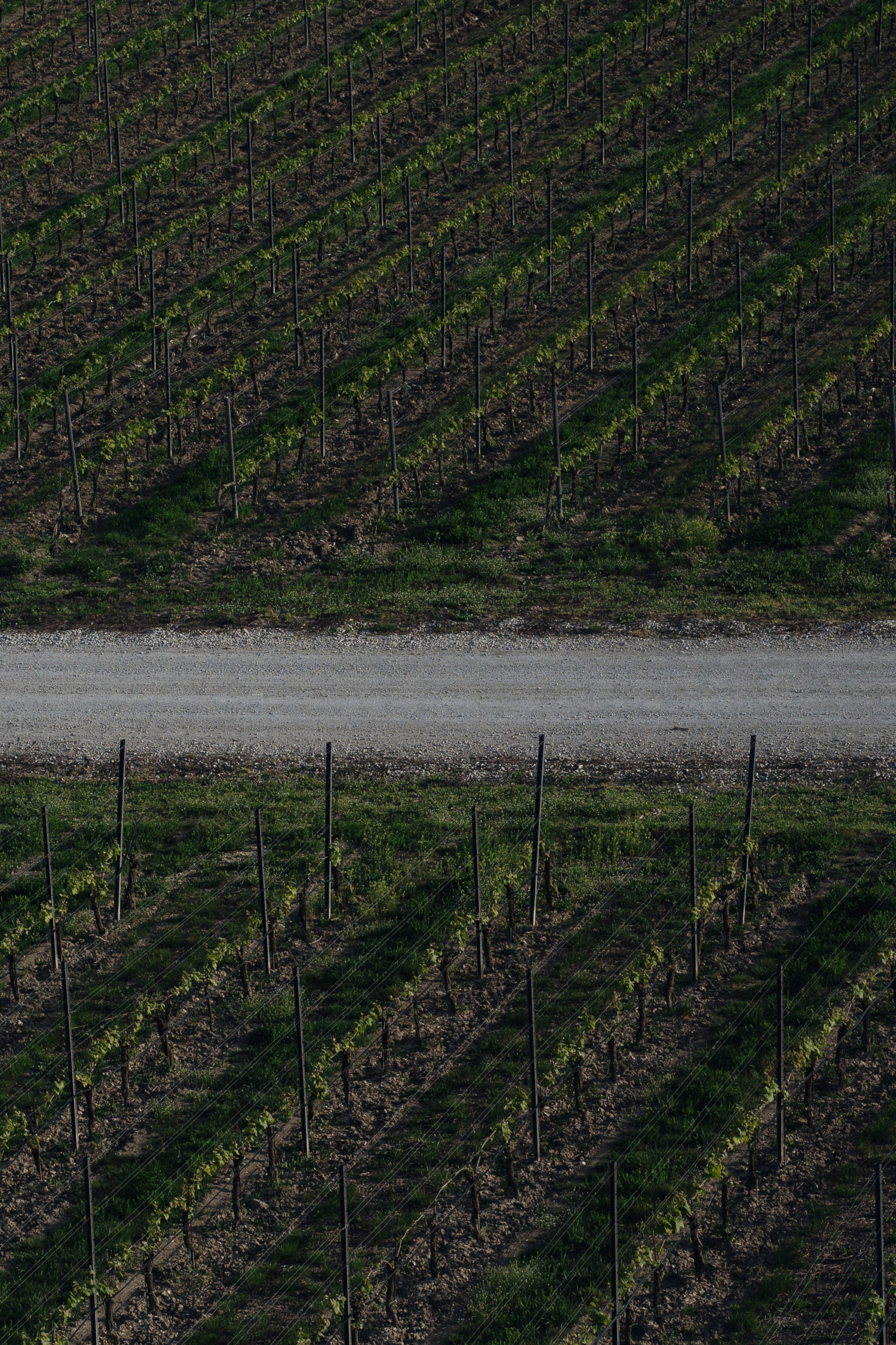Скалистый берег 2024. Свадебный фотограф в Краснодаре и Сочи Винидиктова Екатерина