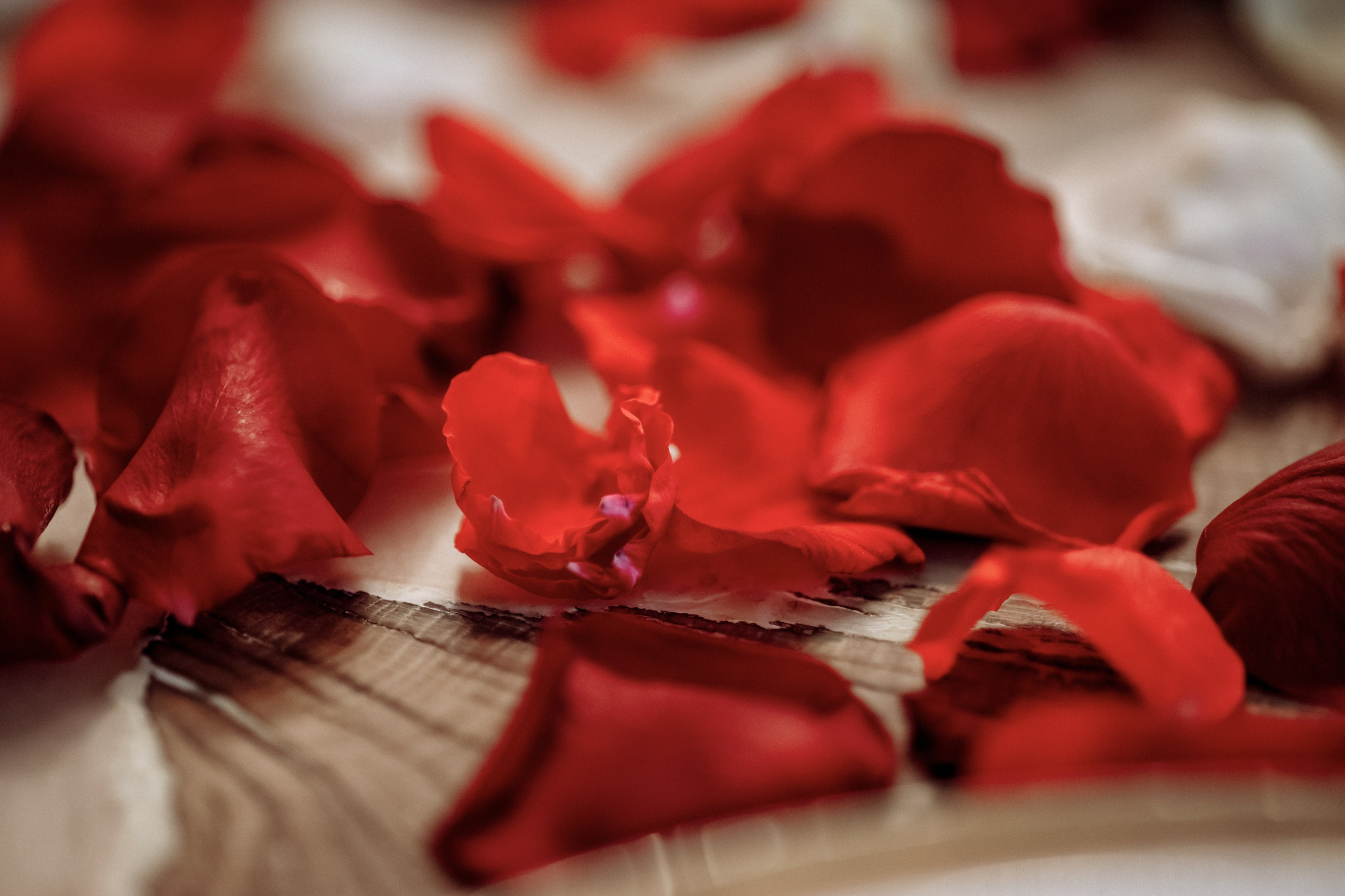 Юбилей Татьяны. Фотограф на свадьбу корпоратив репортаж Артем Бочаров Москва