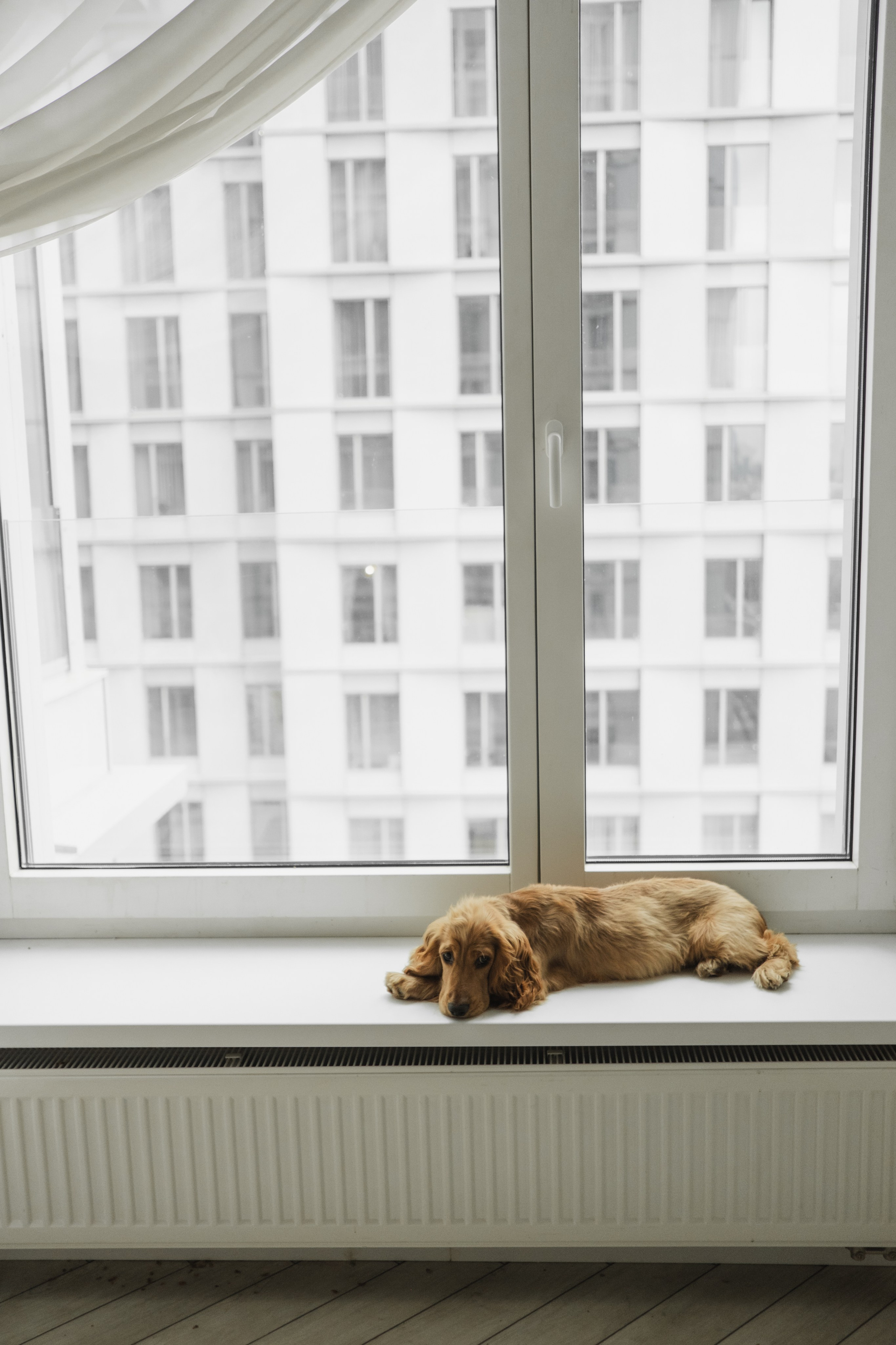 Домашняя съемка для девчонок. Фотограф в Москве (готова приехать к вам в город)