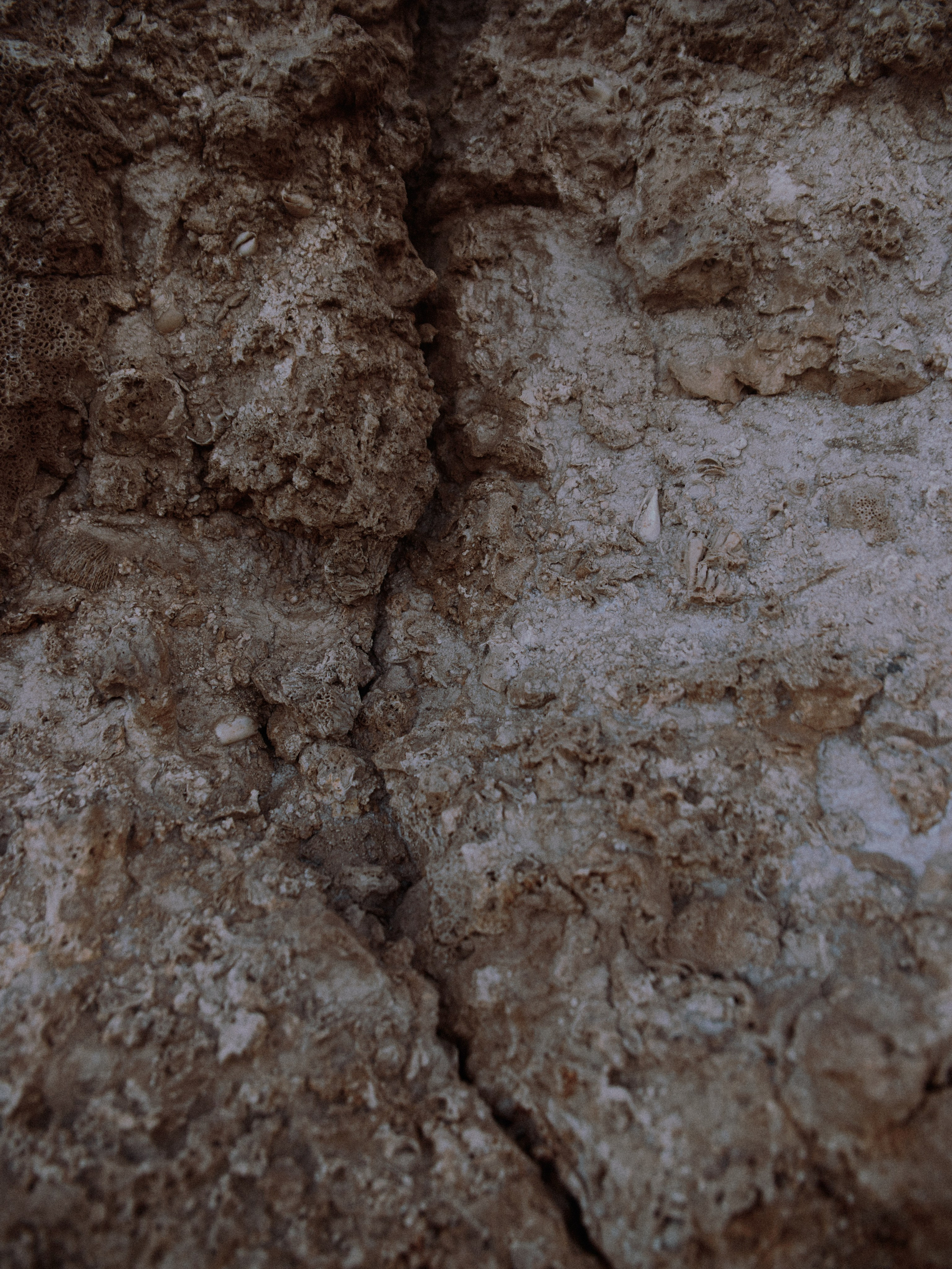 Природа. Jorgis Talè — photographer, kind person, teacher of arts and other mag