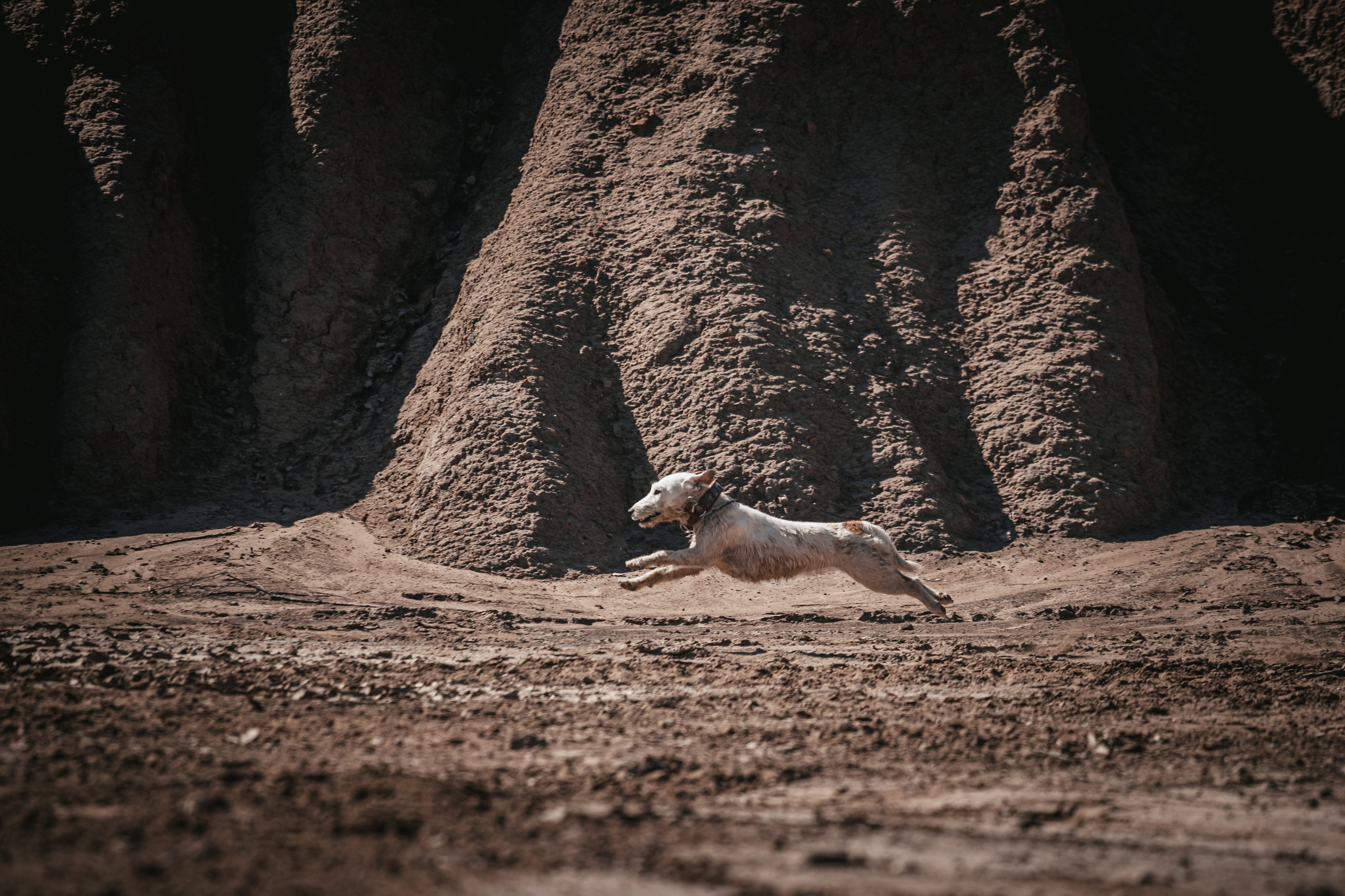 Кондуки. Фотограф-анималист Татьяна Степанова