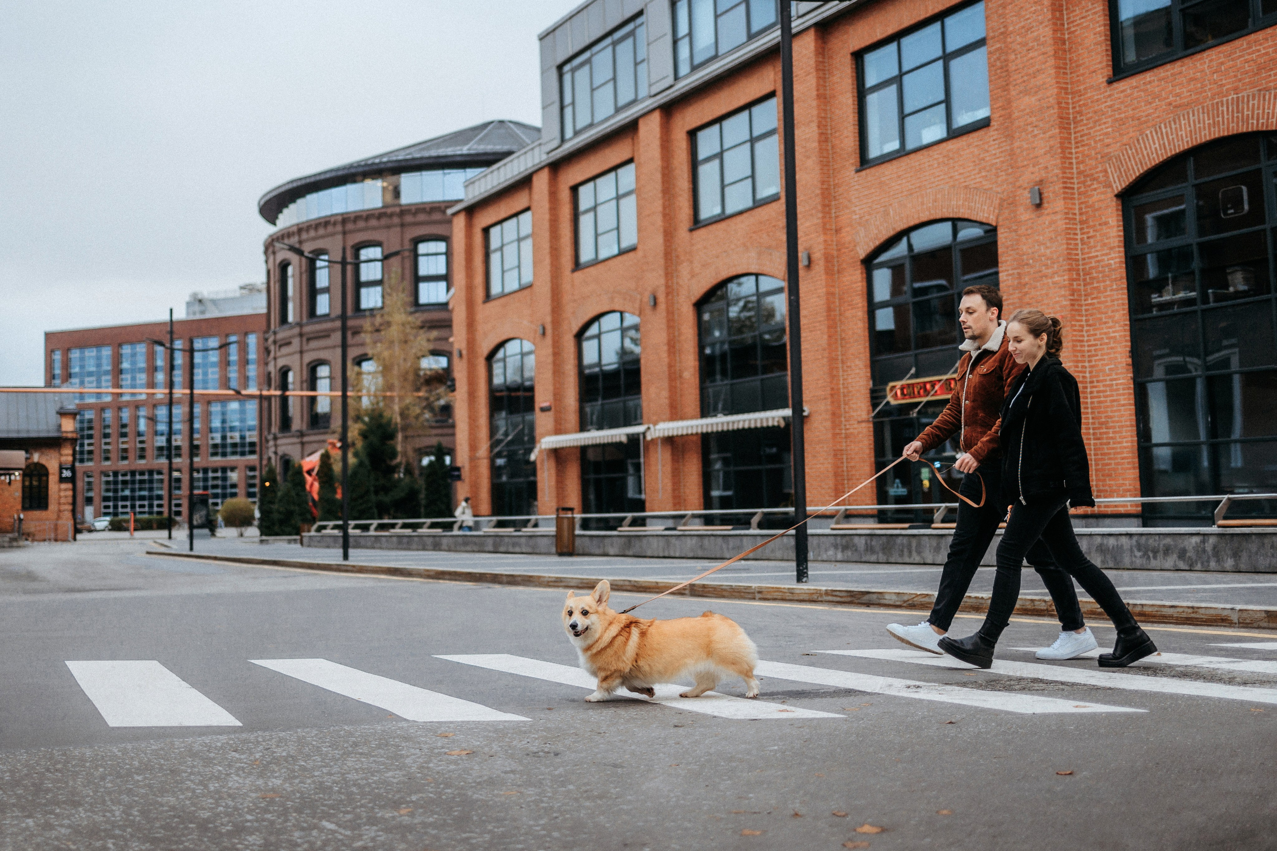 Вера, Саша и Муна. Фотограф-анималист Елена Радченко, Москва
