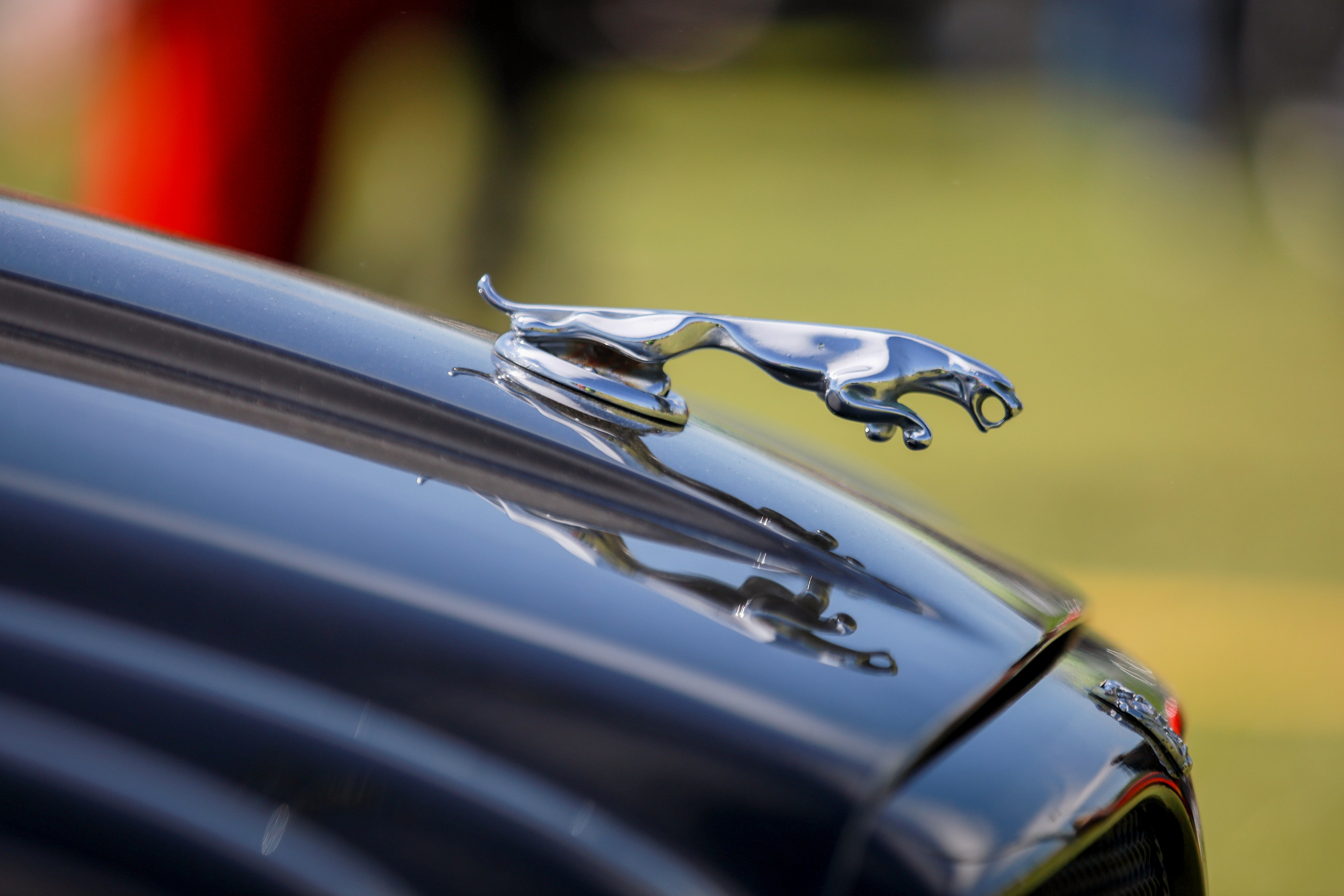 NDNF 2024. Свадебный фотограф Расторгуев Дмитрий