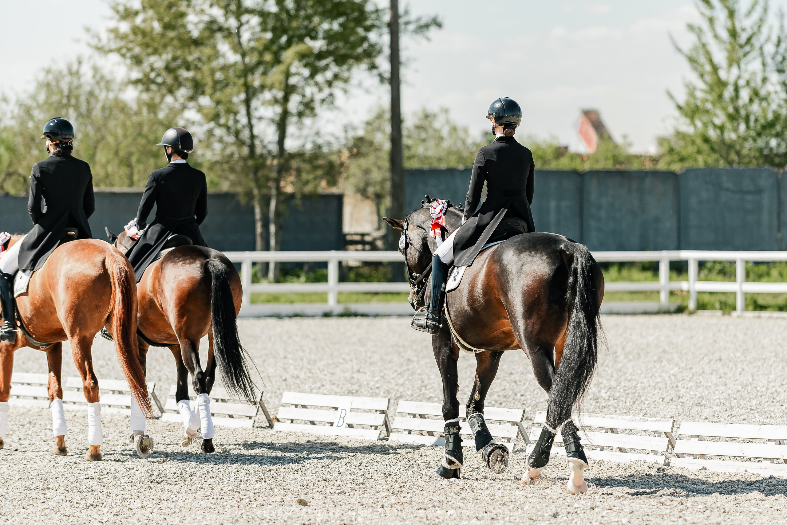 РЕПОРТАЖ МКК ВОЛЬТ «LA TULIPS». Конный фотограф Куракина Дарья • Фотосессии с лошадьми