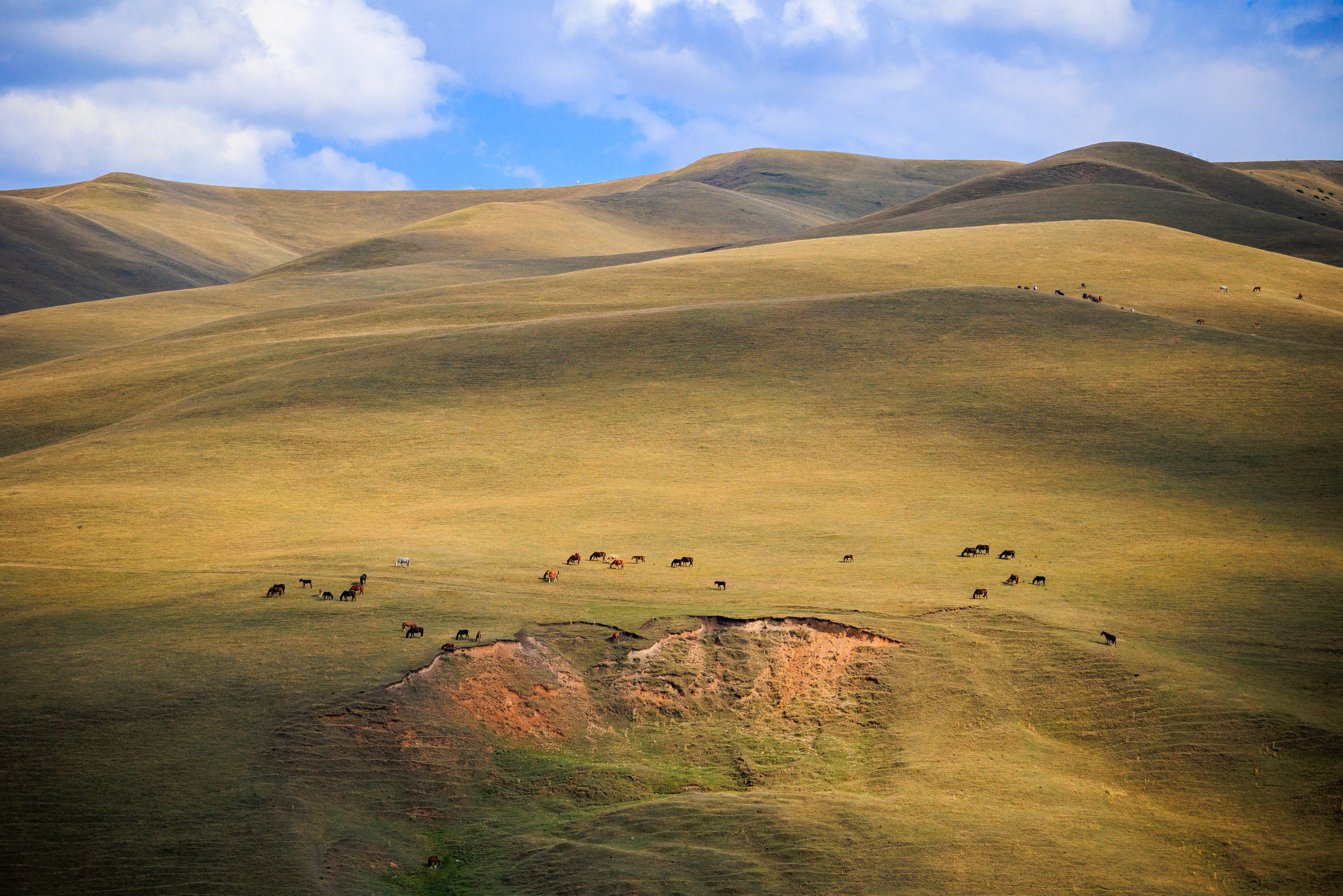Поездка на плато Ассы и за пределами. Экскурсии и туры по Алматы
