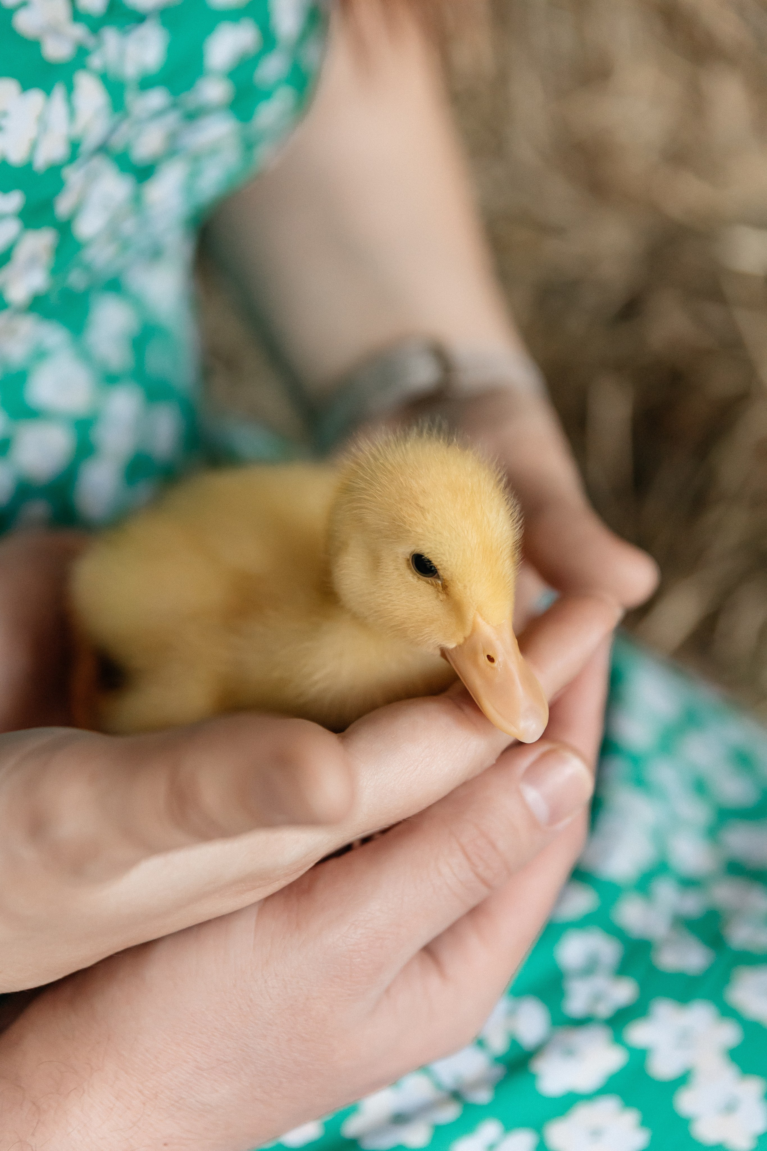 Даша, Павел и София. Семейный фотограф Минск Усова Ольга