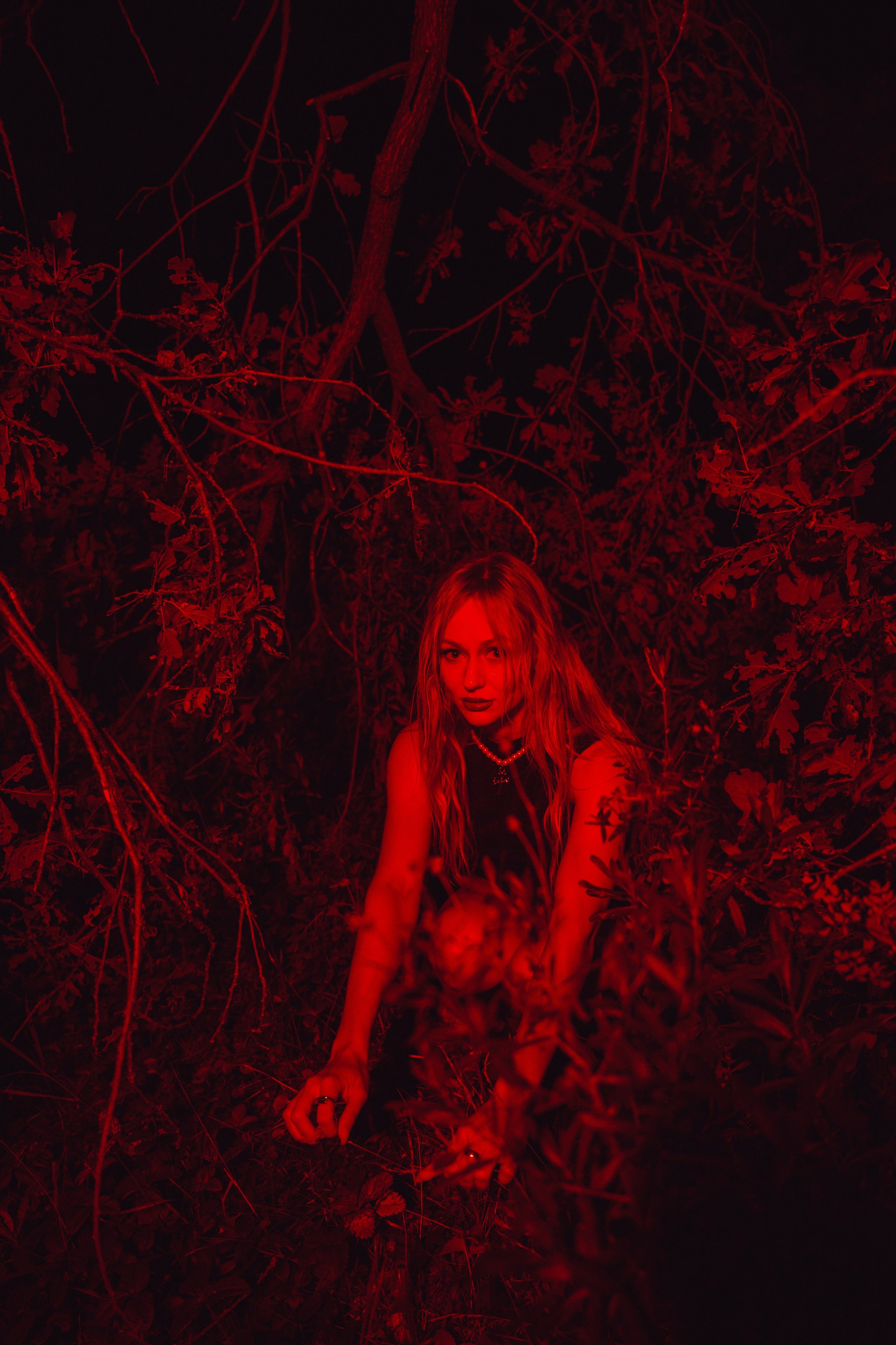 Ночной стиль дубов. Свадебный и репортажный фотограф Павел Царьков