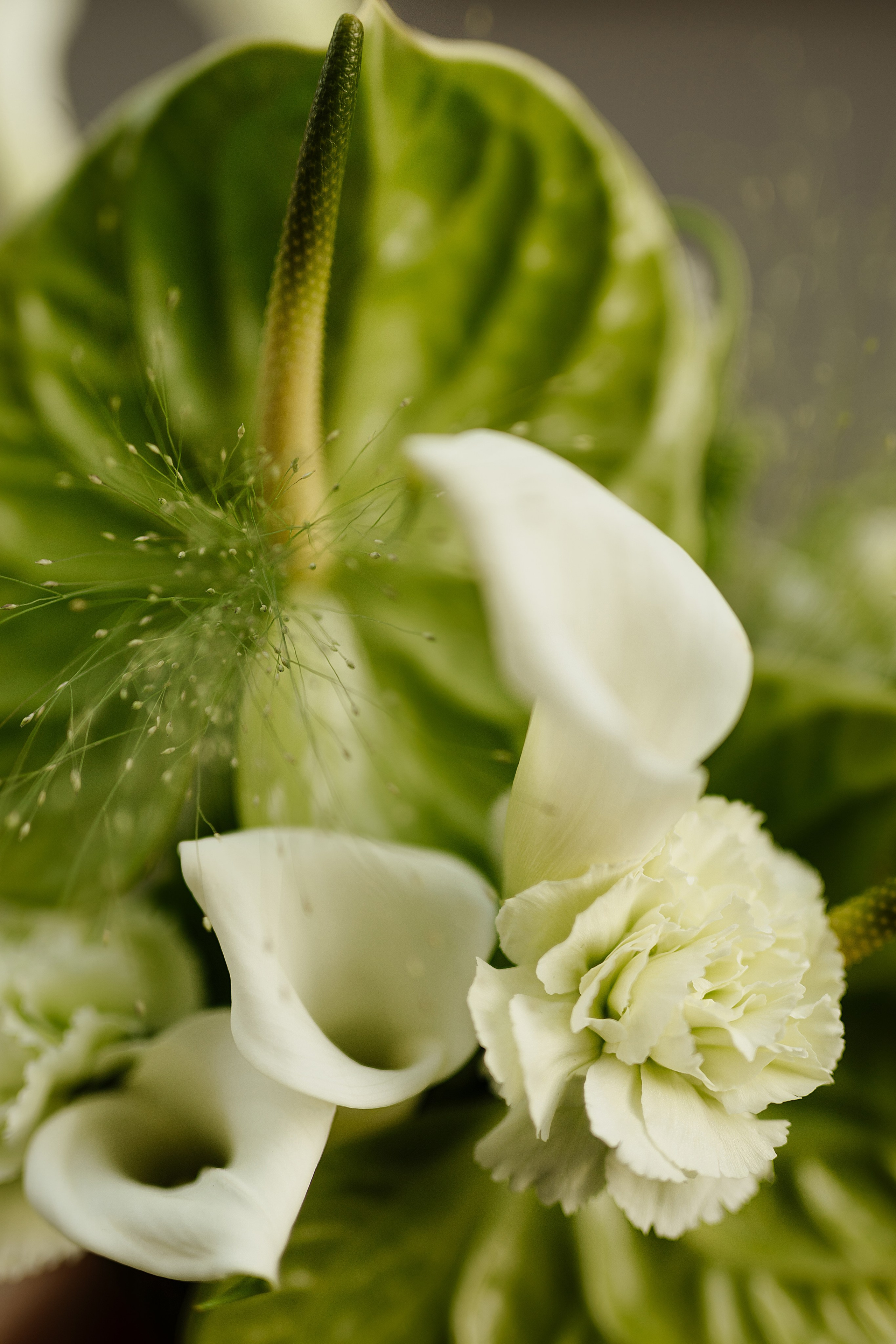 Свадьба Артёма и Ольги. Фотограф Кольчугино/Владимир/Москва Елизавета Иода