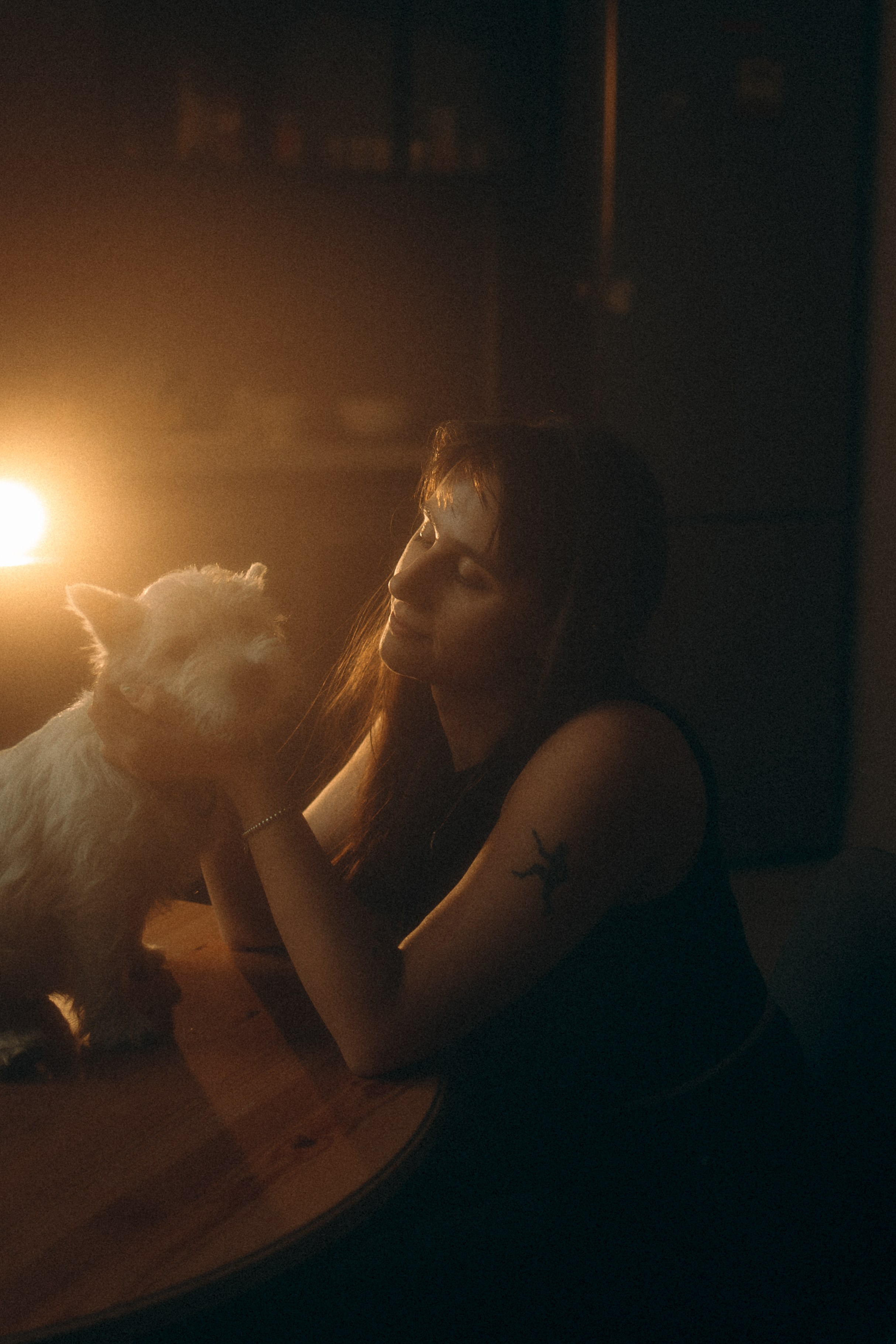 Снежуля, Мари и Саша. Фотограф анималист Анастасия Пикей