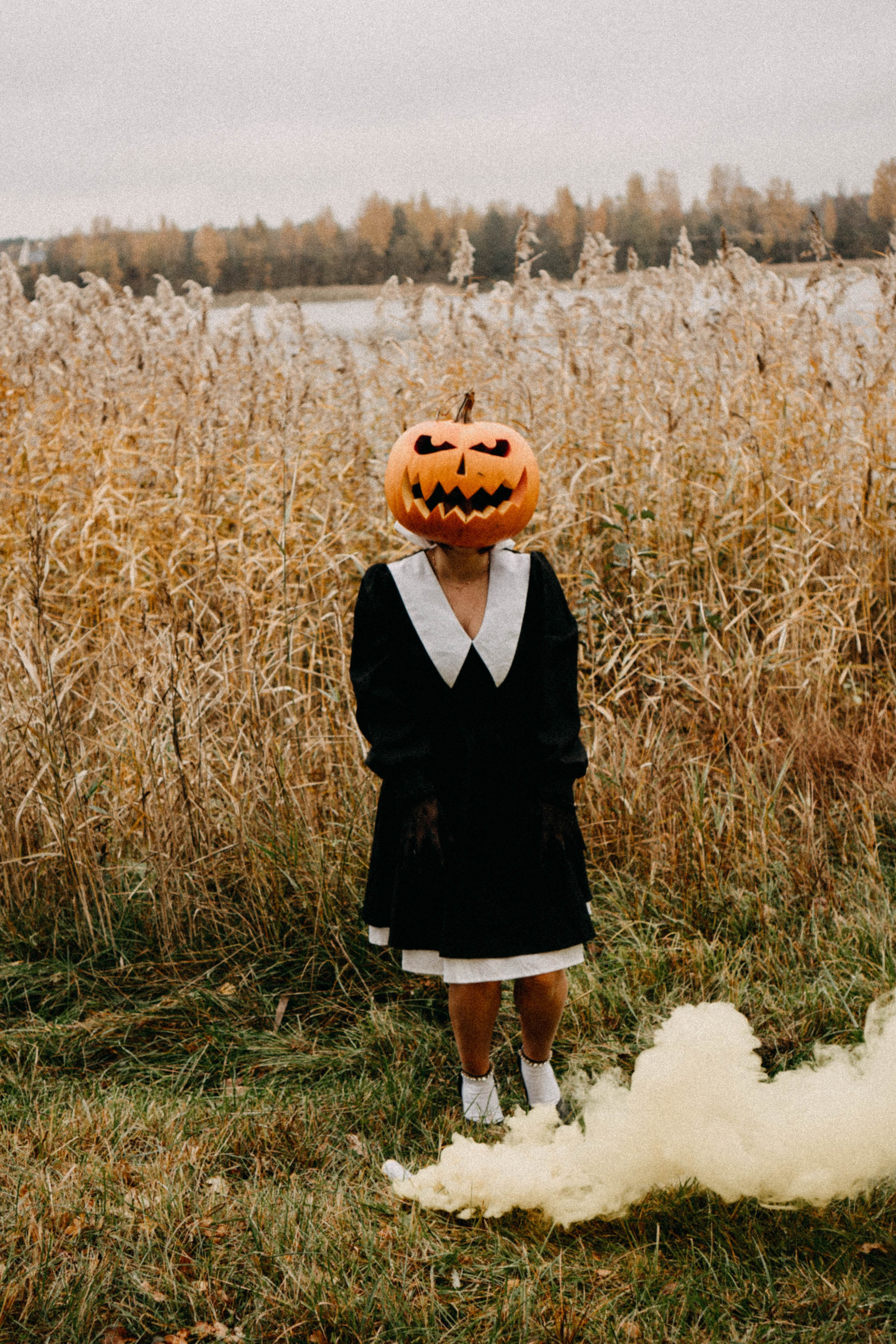 Осеняя. Профессиональный фотограф, Санкт-Петербург — Виктория Богомолова