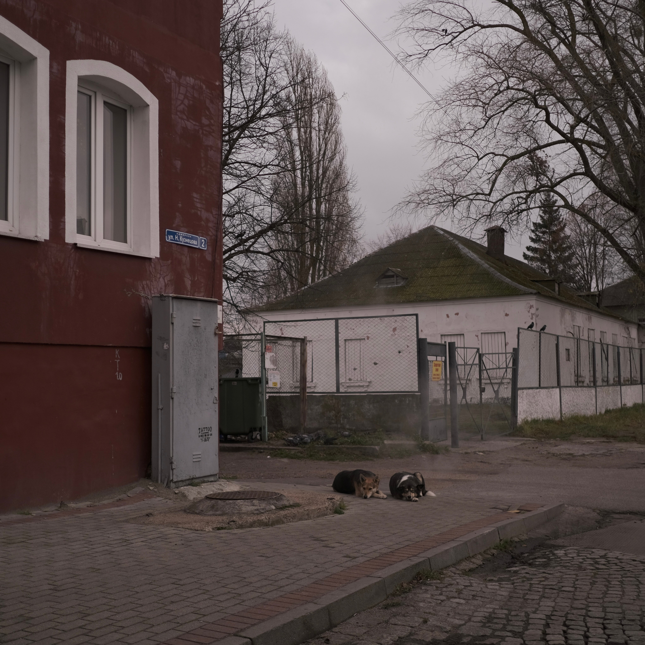 Калининград. LIYALEE PHOTO