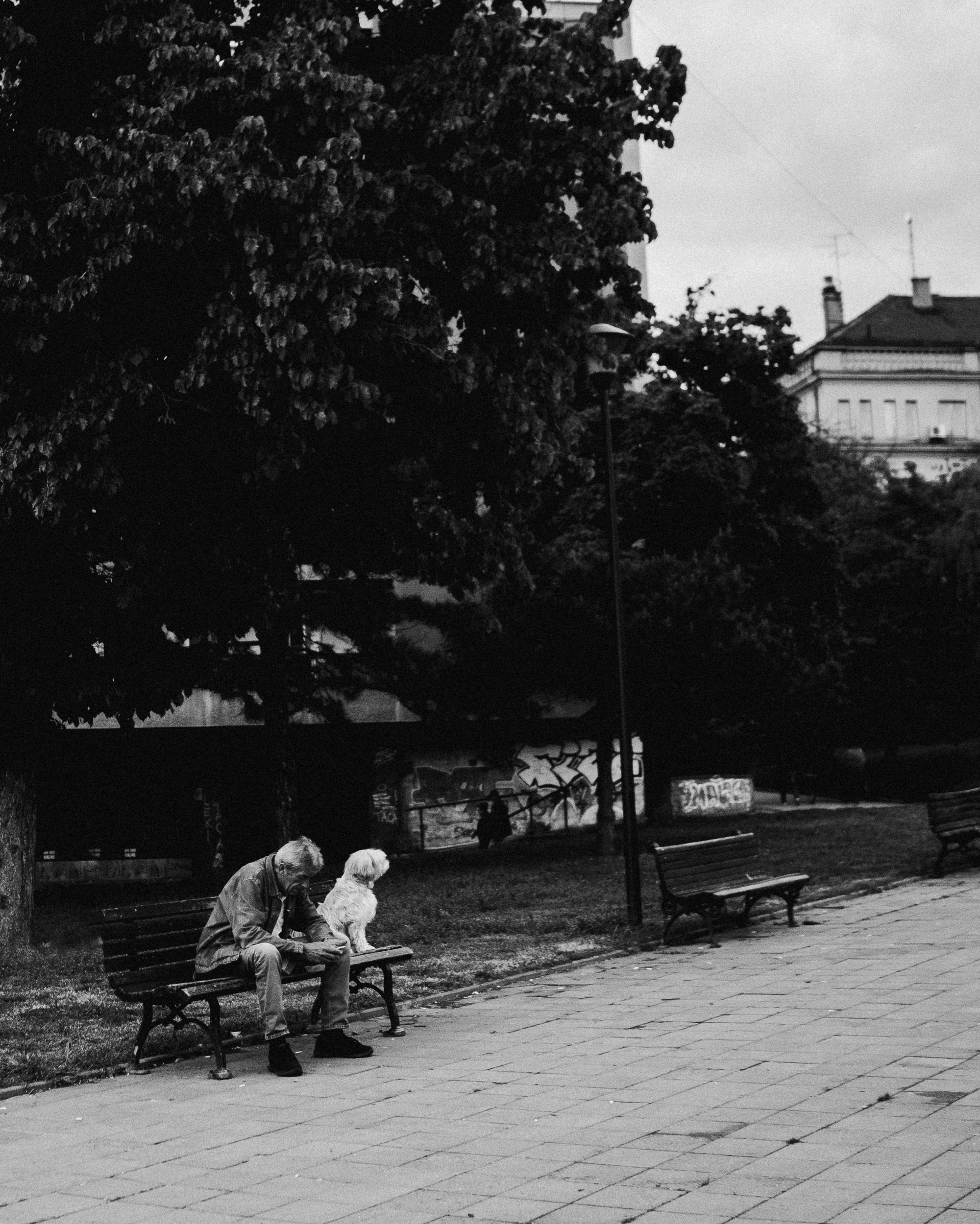 Straatfoto’s. Фотографии о вас и вашем питомце