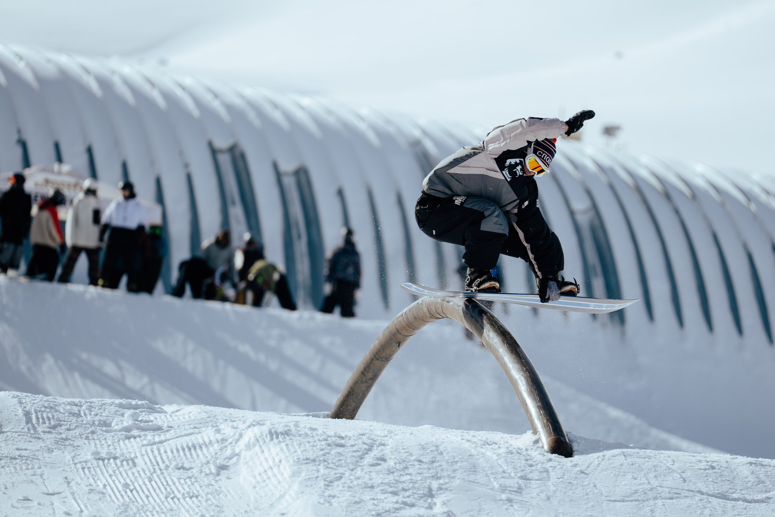 Imba Park Nut Contest 24.01.2026. Gorillaenergymedia