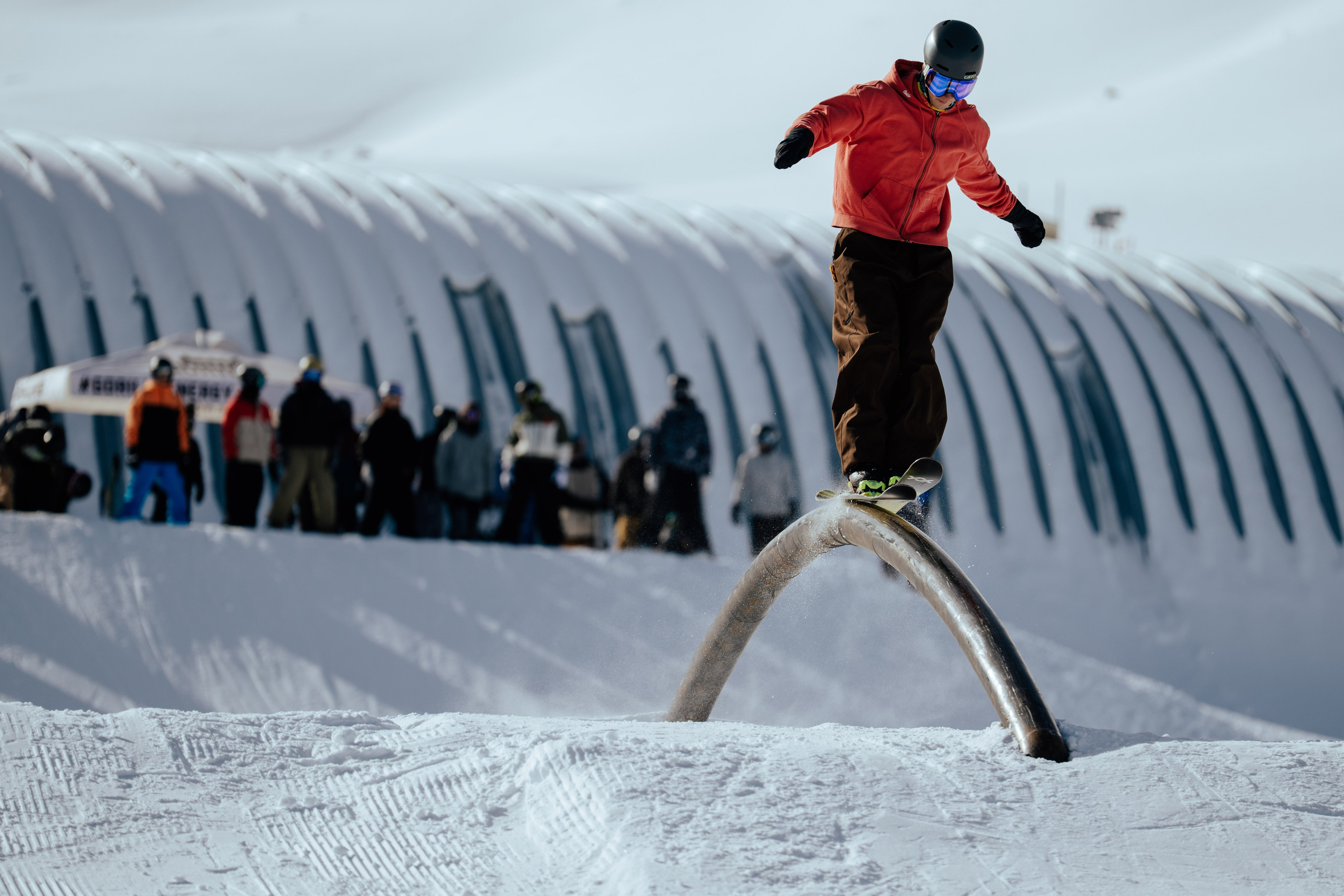 Imba Park Nut Contest 24.01.2026. Gorillaenergymedia
