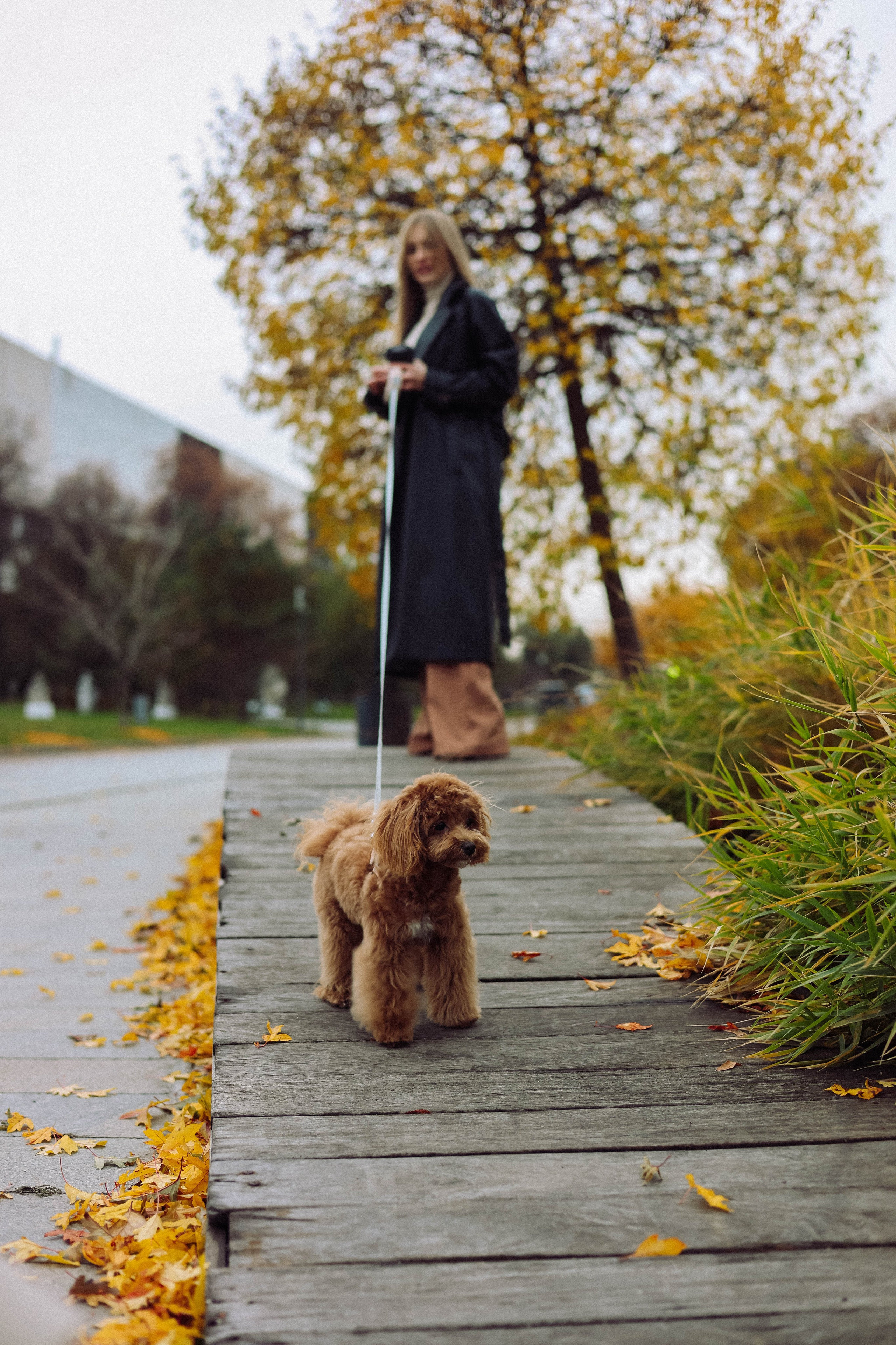 Кира. Фотограф в Москве Анастасия Калинина