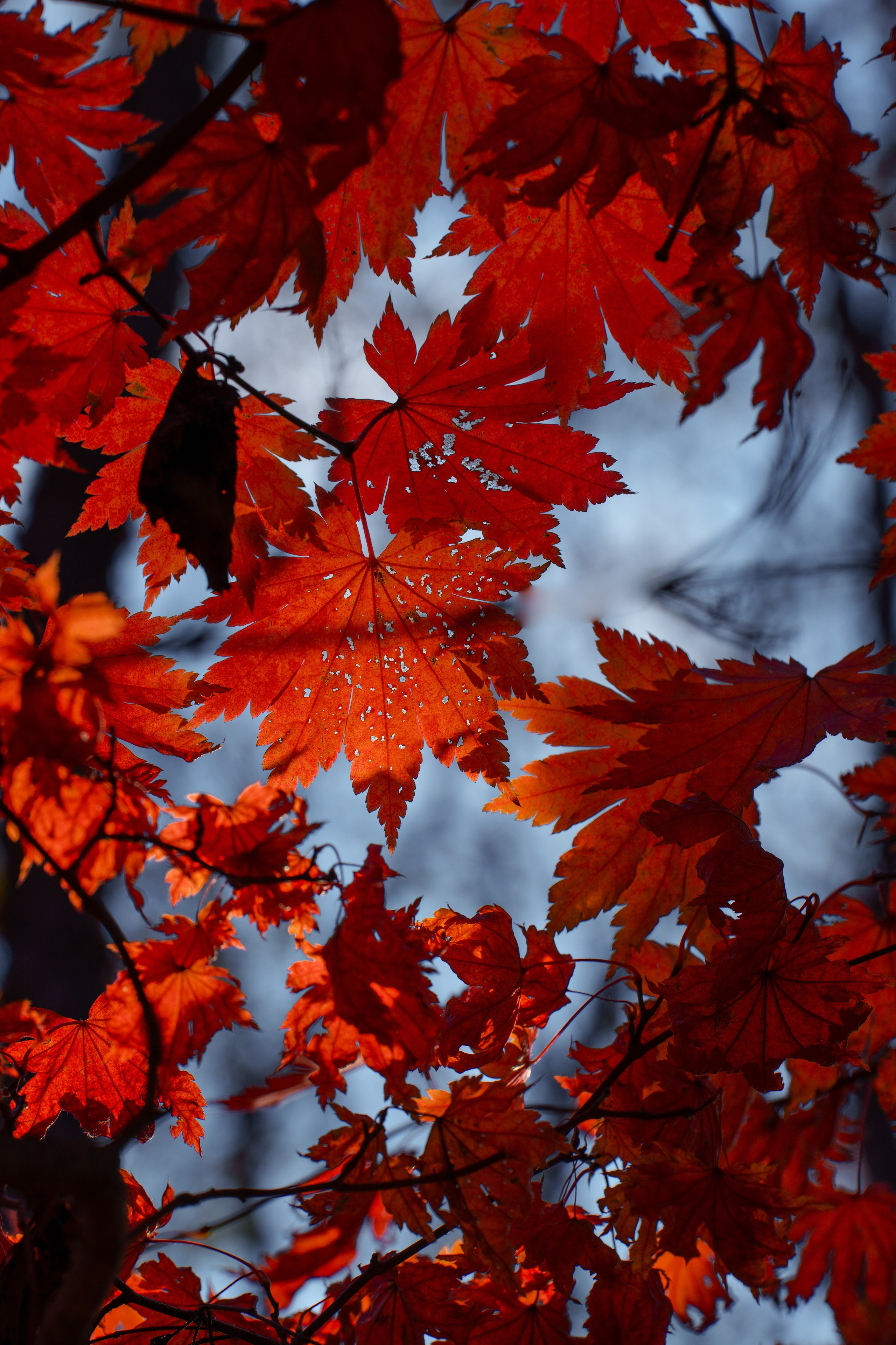 Осень в Северном Приморье