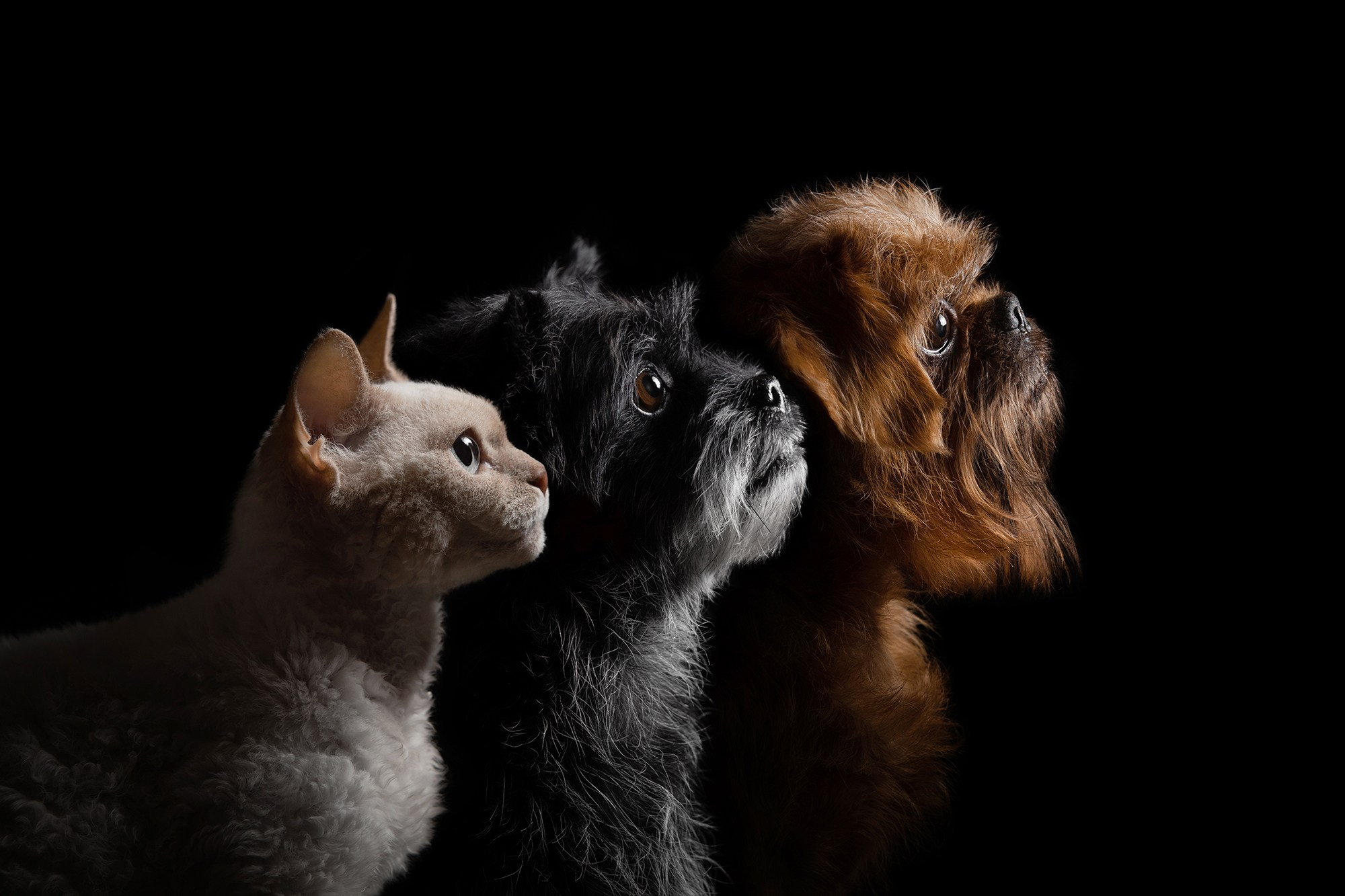 Проект портреты на чёрном фоне. Фотограф Анна Тюрина