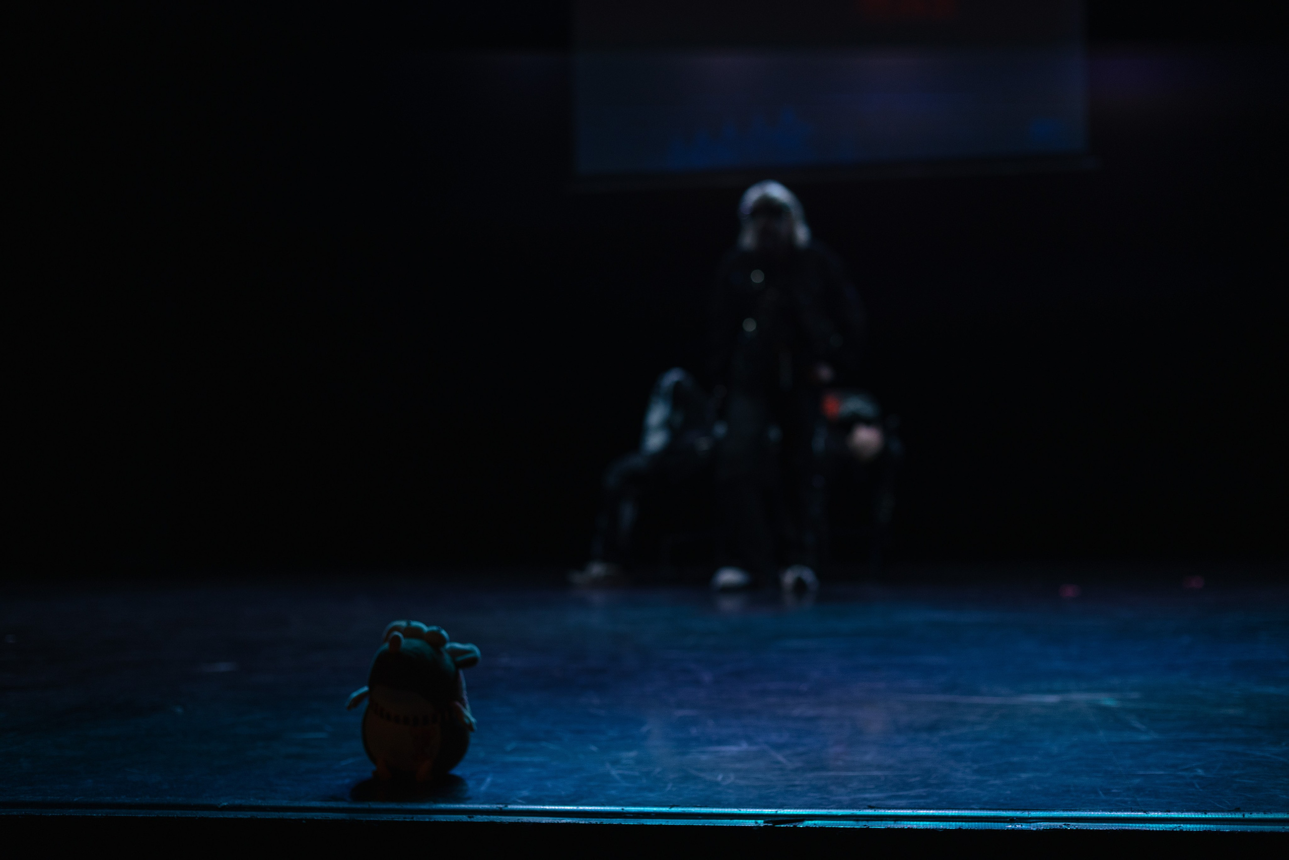 Съемка танцевального фестиваля. Ксю Галиасфарова — Фотограф Казань