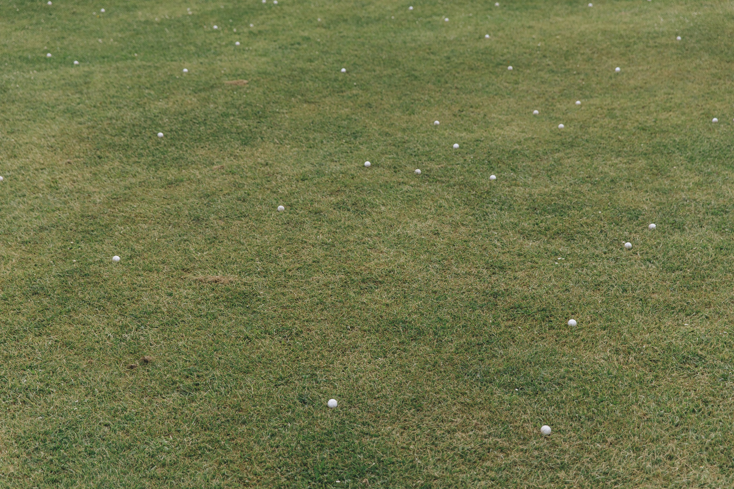 Riesling пикник. Свадебный фотограф в Севастополе и Крыму| Tanya Sher