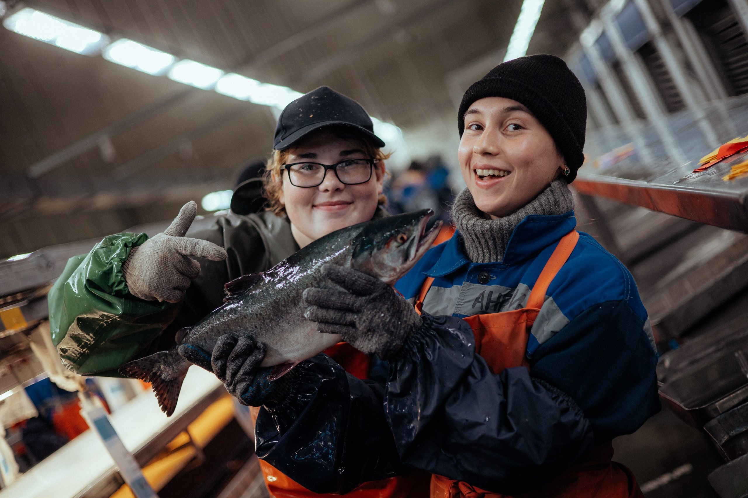 Ооо «лойд-фиш» | камчатка-2025